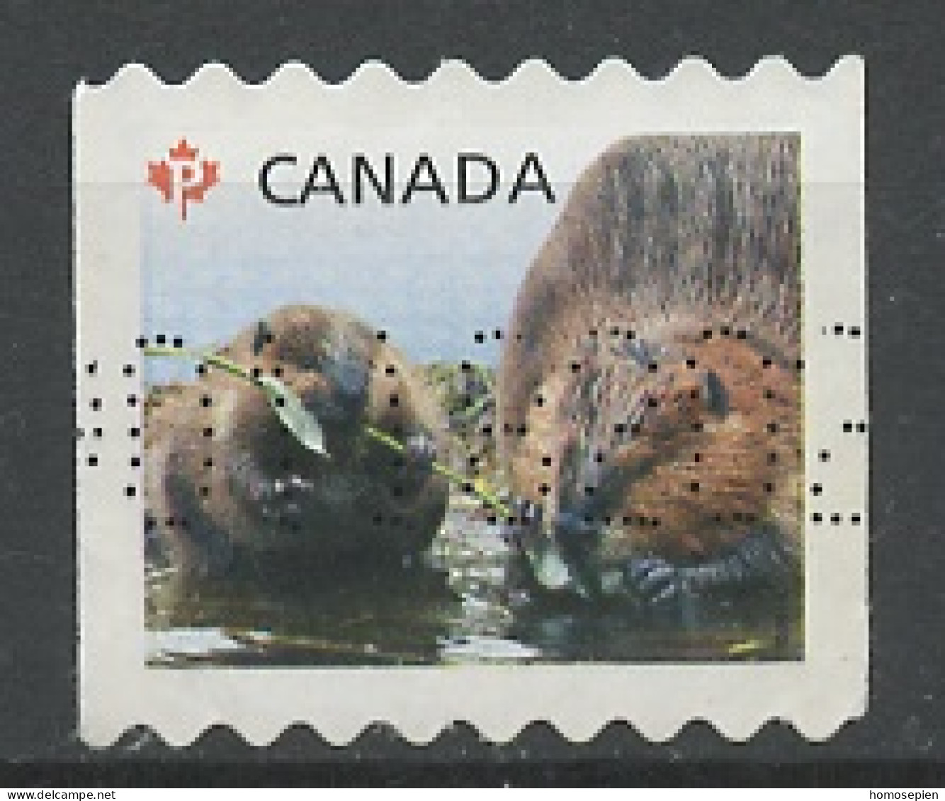 Canada - Kanada 2014 Y&T N°2965dg - Michel N°3087Drl (o) - P Castor - Used Stamps