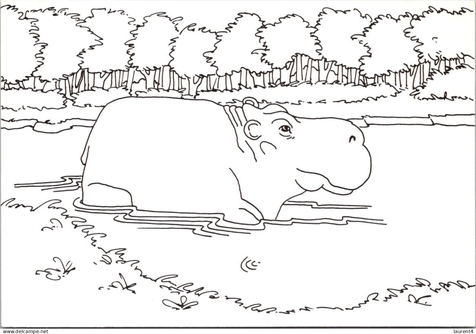 31-11-2023 (5 U 44)Humour - Hippopotamus (b/w) - Nijlpaarden