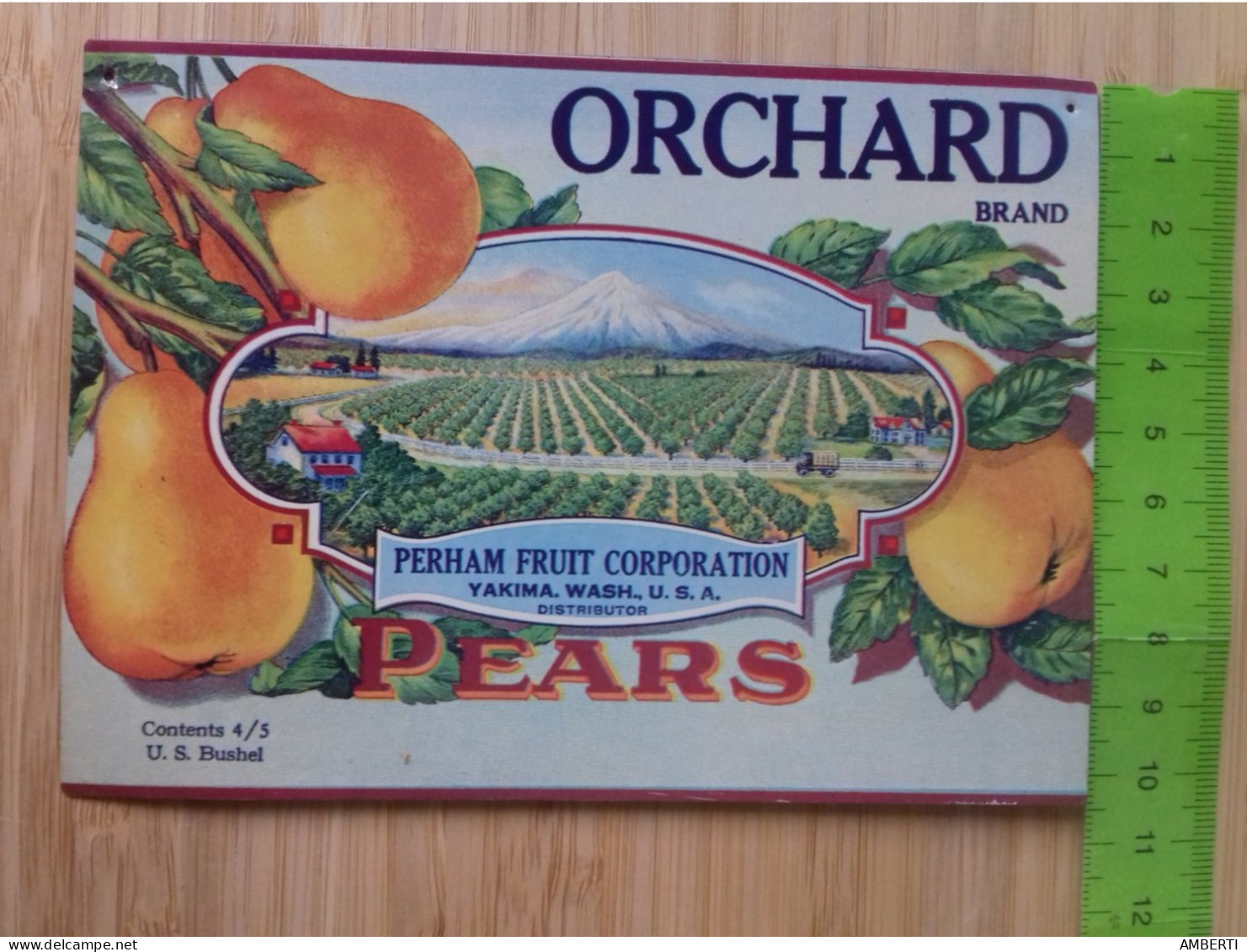 Chapa Orchard Pears - Sonstige & Ohne Zuordnung