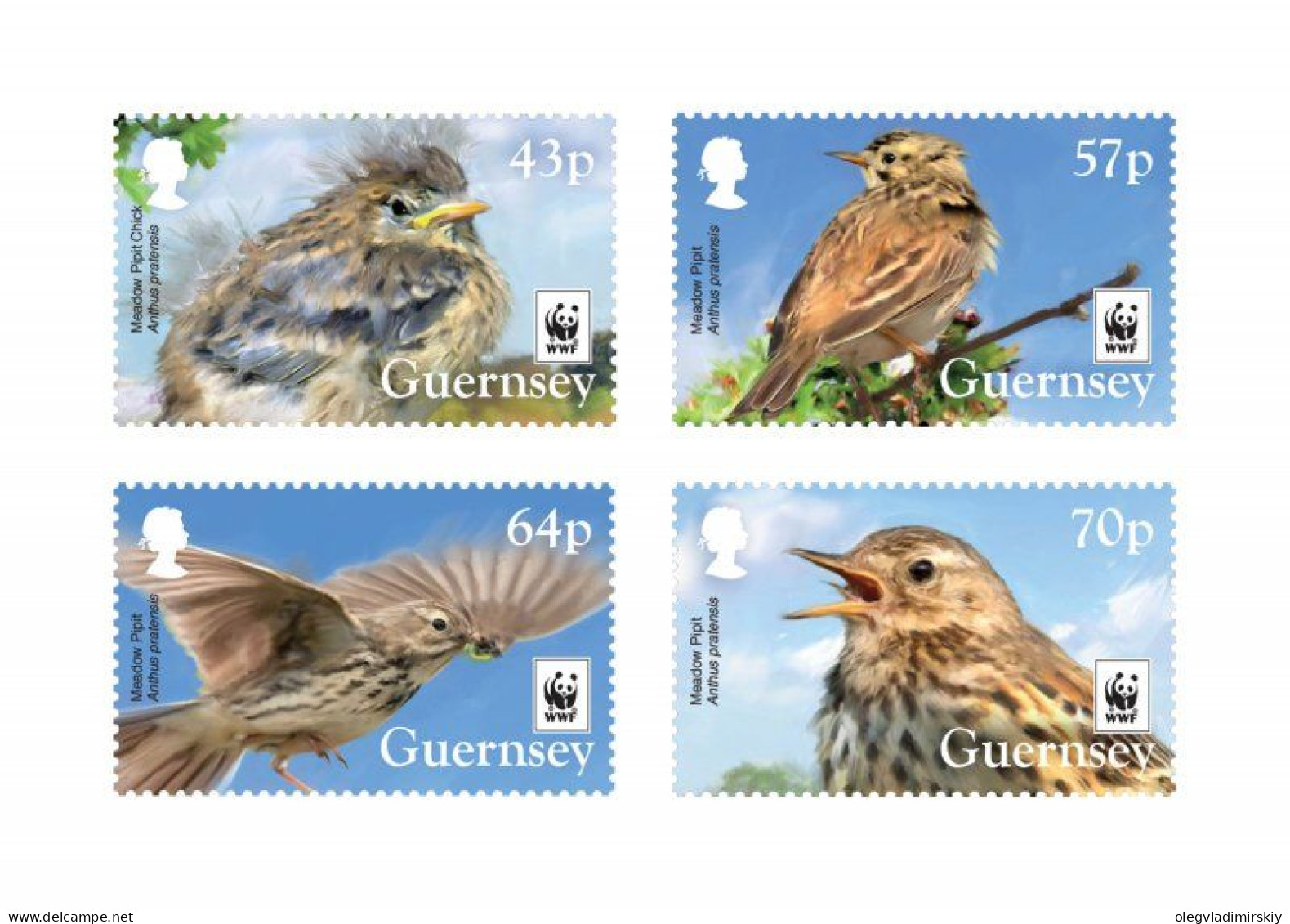 Guernsey 2017 WWF Rare Birds Anthus Pratensis Set Of 4 Stamps Mint - Mussen