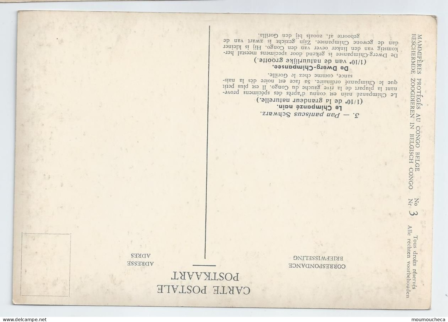 CP : Musée Royal D'histoire Naturelle De Belgique - Mammifères Protégé Au Congo - 3 Le Chimpanzé Nain (2 Scans) - Verzamelingen & Kavels