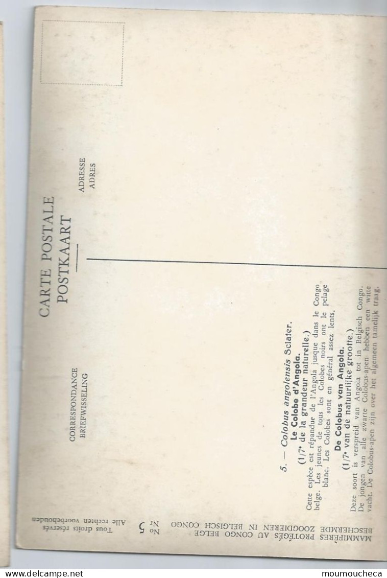 CP : Musée Royal D'histoire Naturelle De Belgique - Mammifères Protégé Au Congo - 5 Le Colobe D'angola (2 Scans) - Collections & Lots