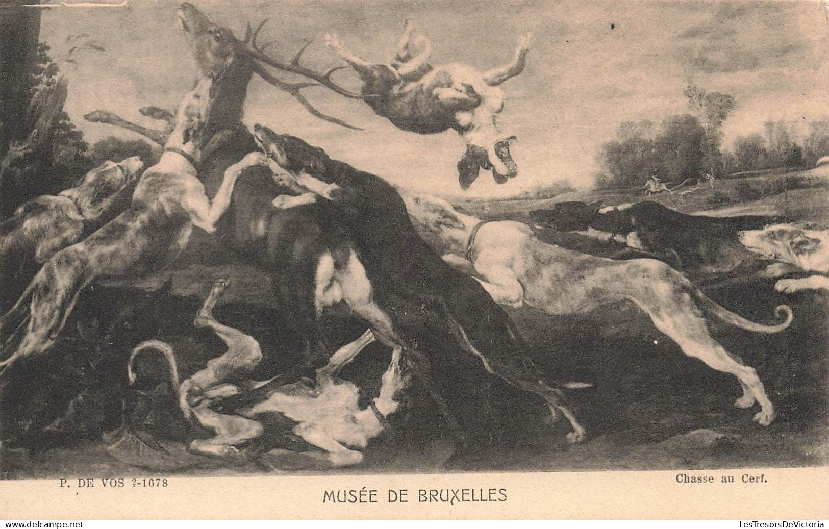 PEINTURES & TABLEAUX - Musée De Bruxelles - Chasse Au Cerf - De Vos - Carte Postale Ancienne - Pintura & Cuadros