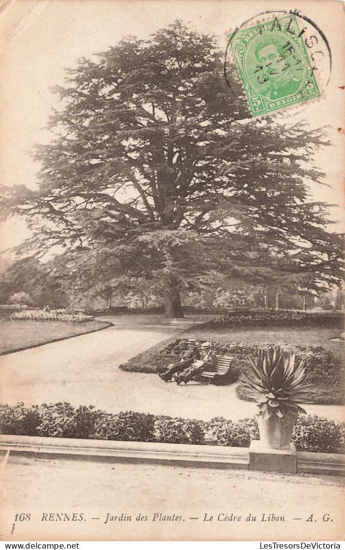 FRANCE - Rennes - Jardin Des Plantes - Le Cèdre Du Liban - AG  - Carte Postale Ancienne - Rennes