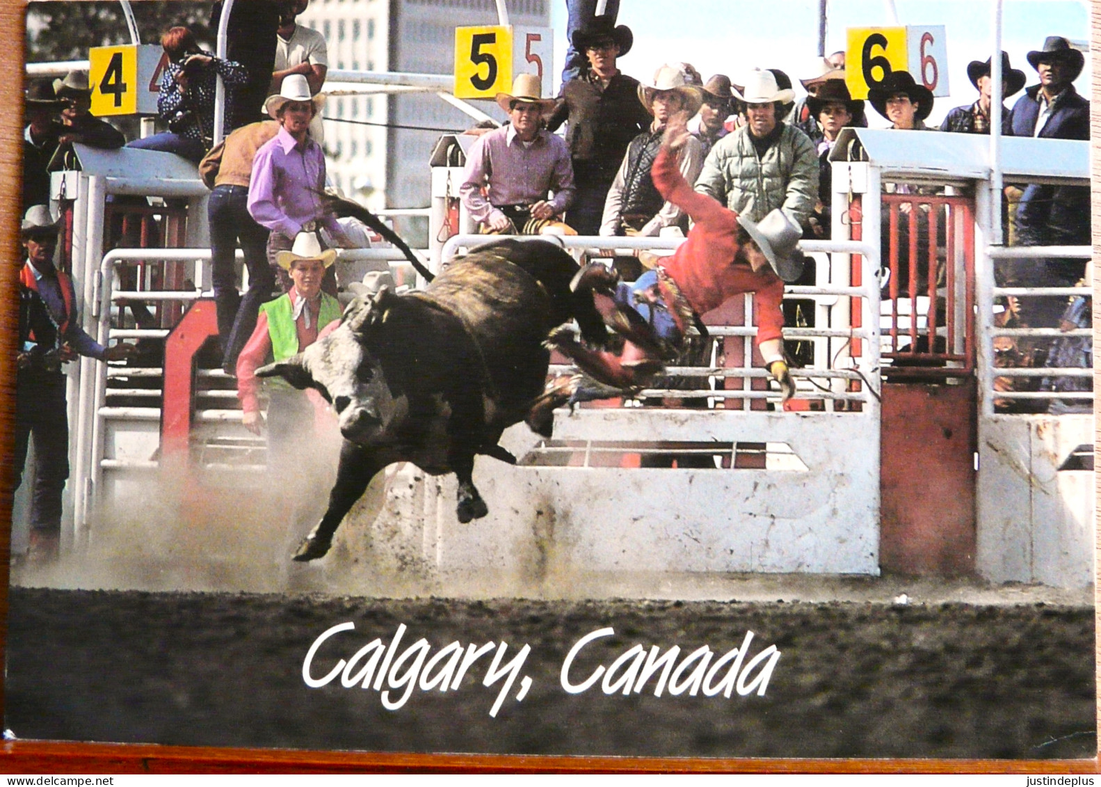 CALGARY  STAMPEDE RODEO CANADA GRAND FORMAT - Calgary