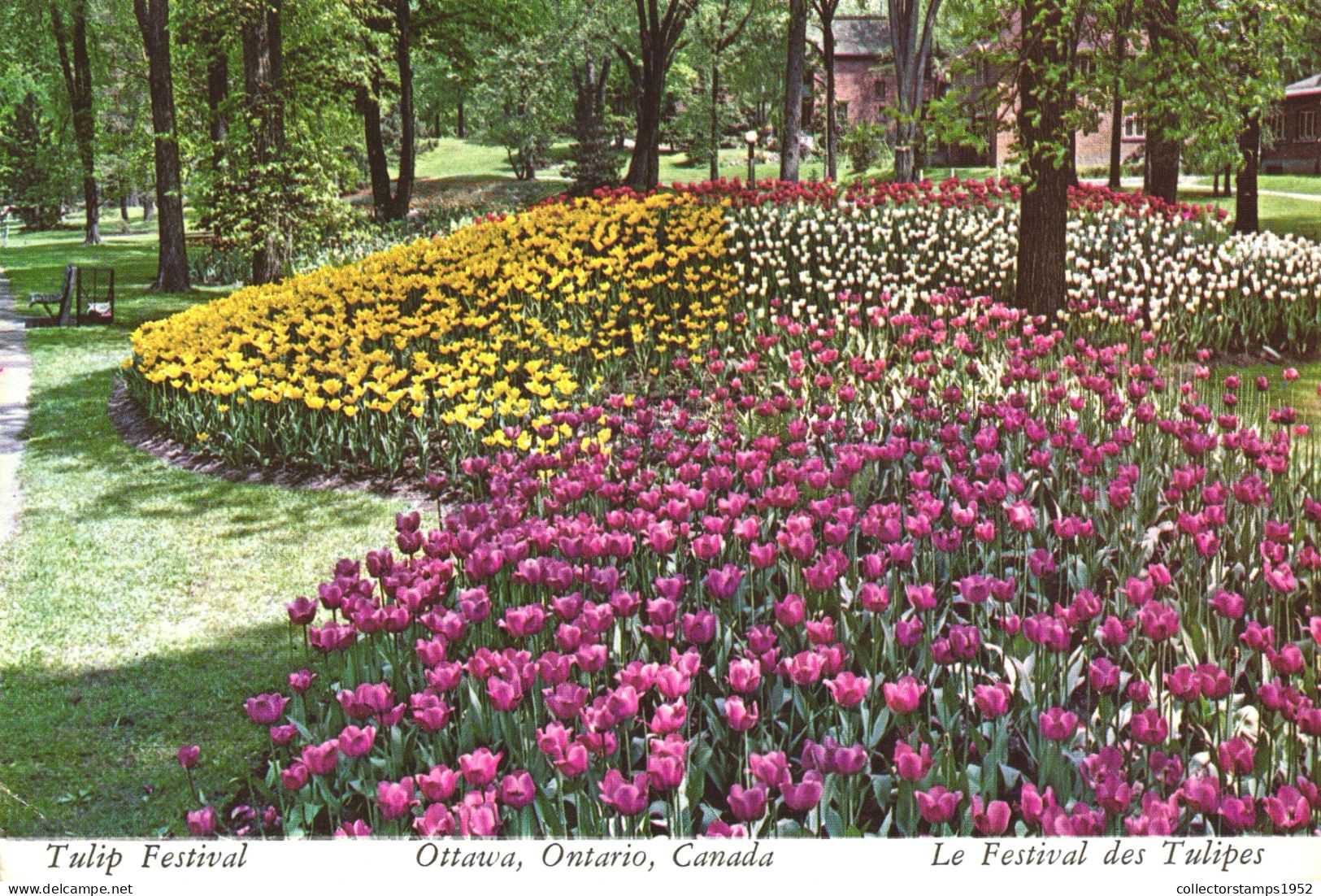 OTTAWA, ONTARIO, TULIP FESTIVAL, PARK, CANADA - Ottawa