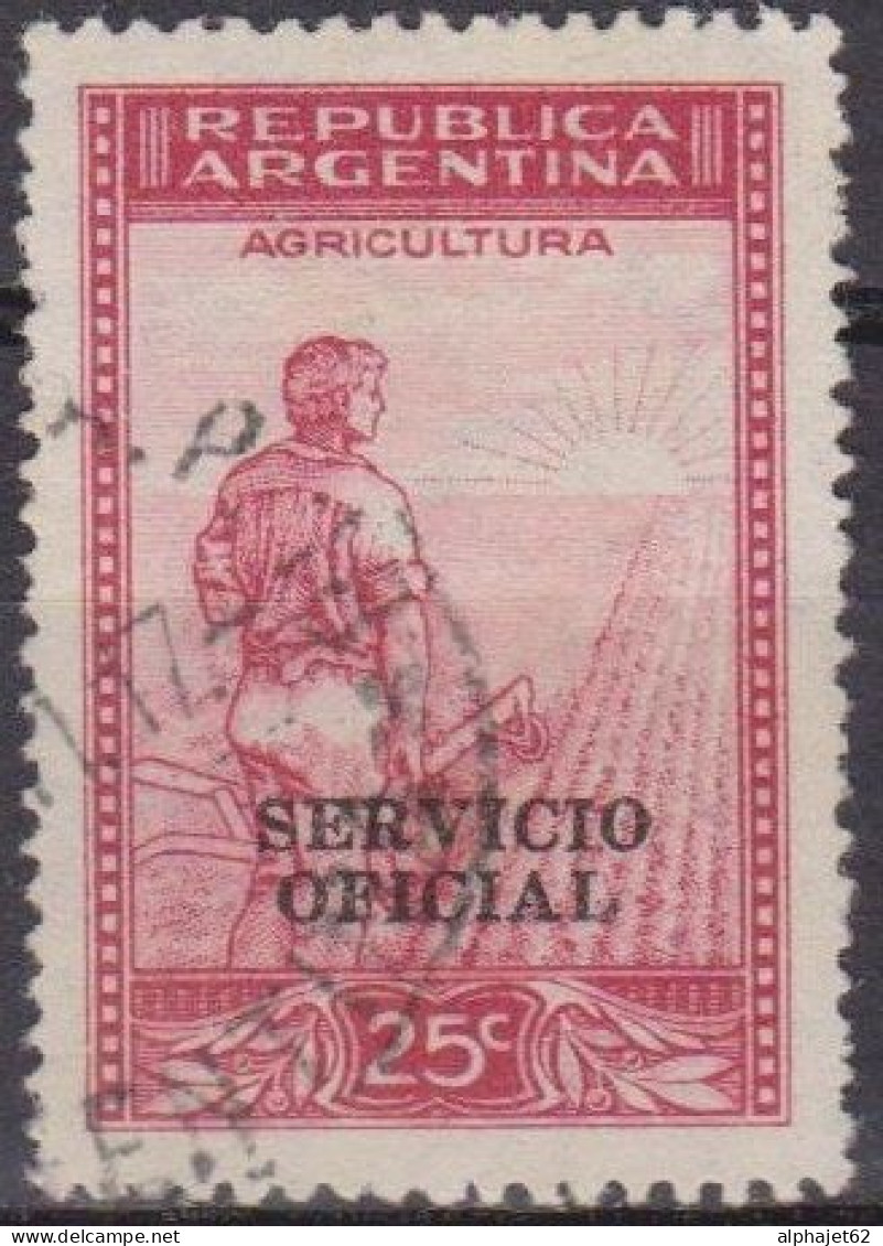 Service Officiel - Economie - Agriculture - ARGENTINE - Semailles - N° 345 - 1938 - Service