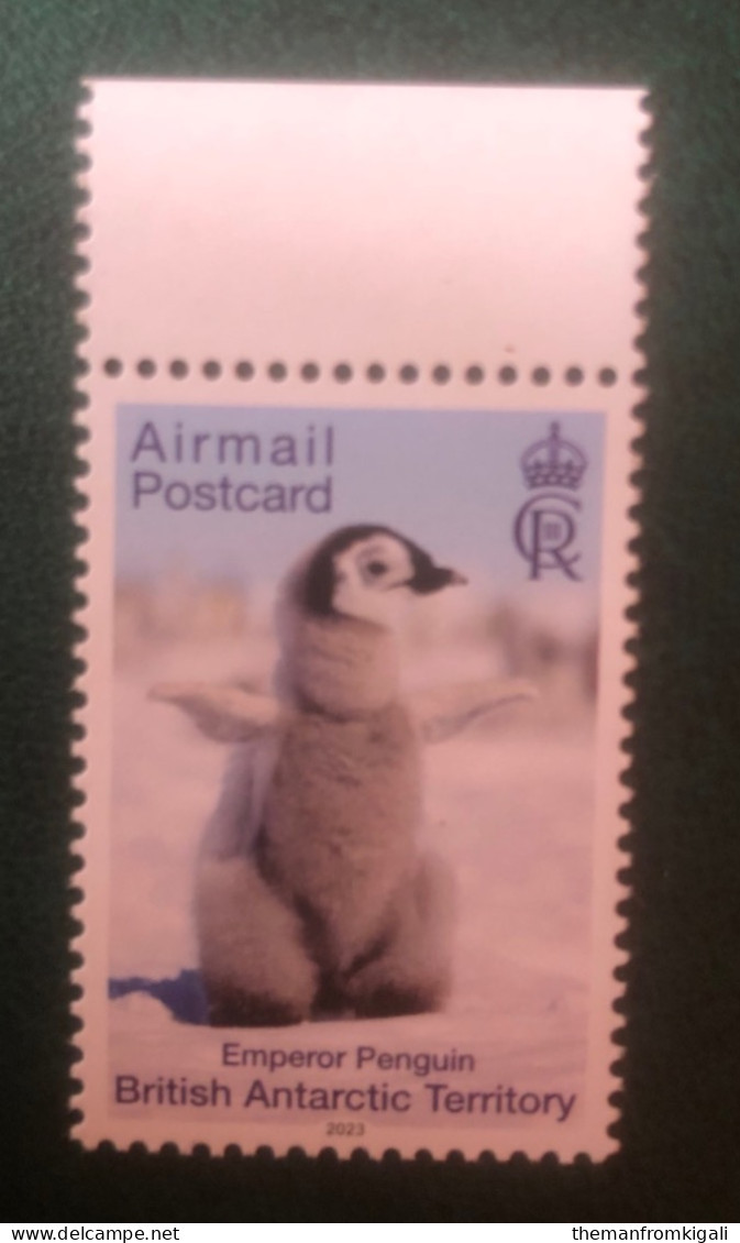 British Antarctic Territory 2023 - Emperor Penguin. - Autres & Non Classés