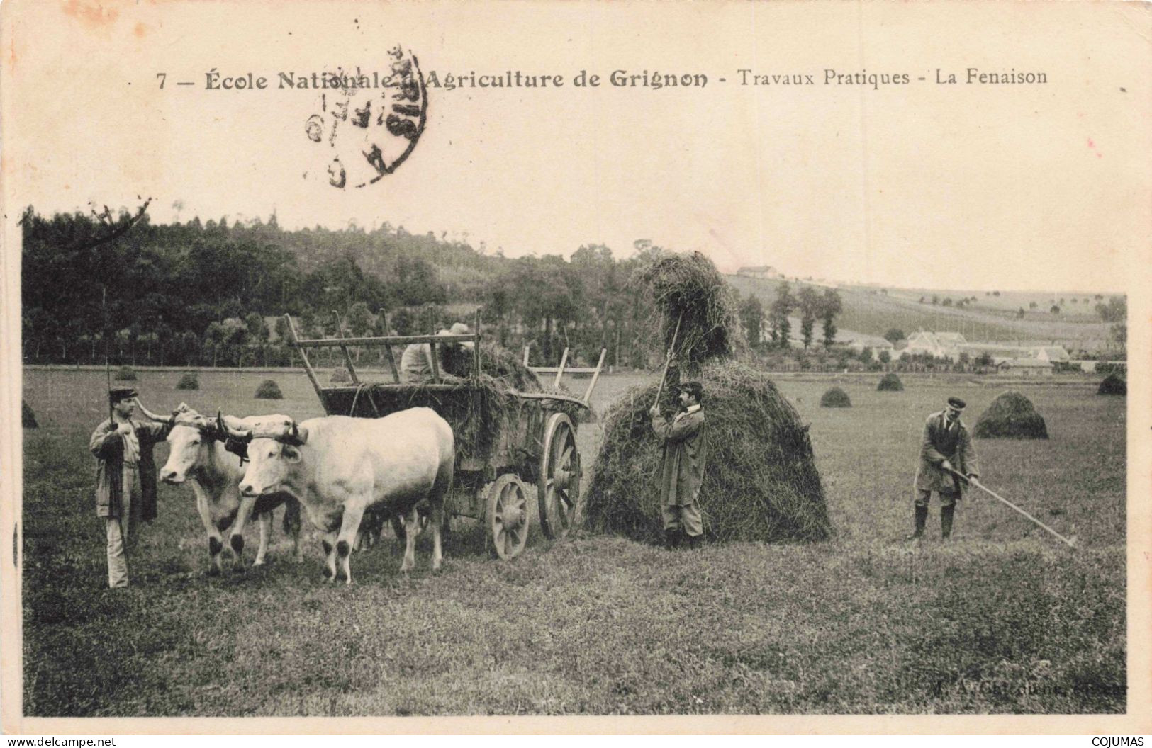 78 - GRIGNON _S24118_ Ecole Nationale D'Agriculture - Travaux Pratiques - La Fenaison - Grignon