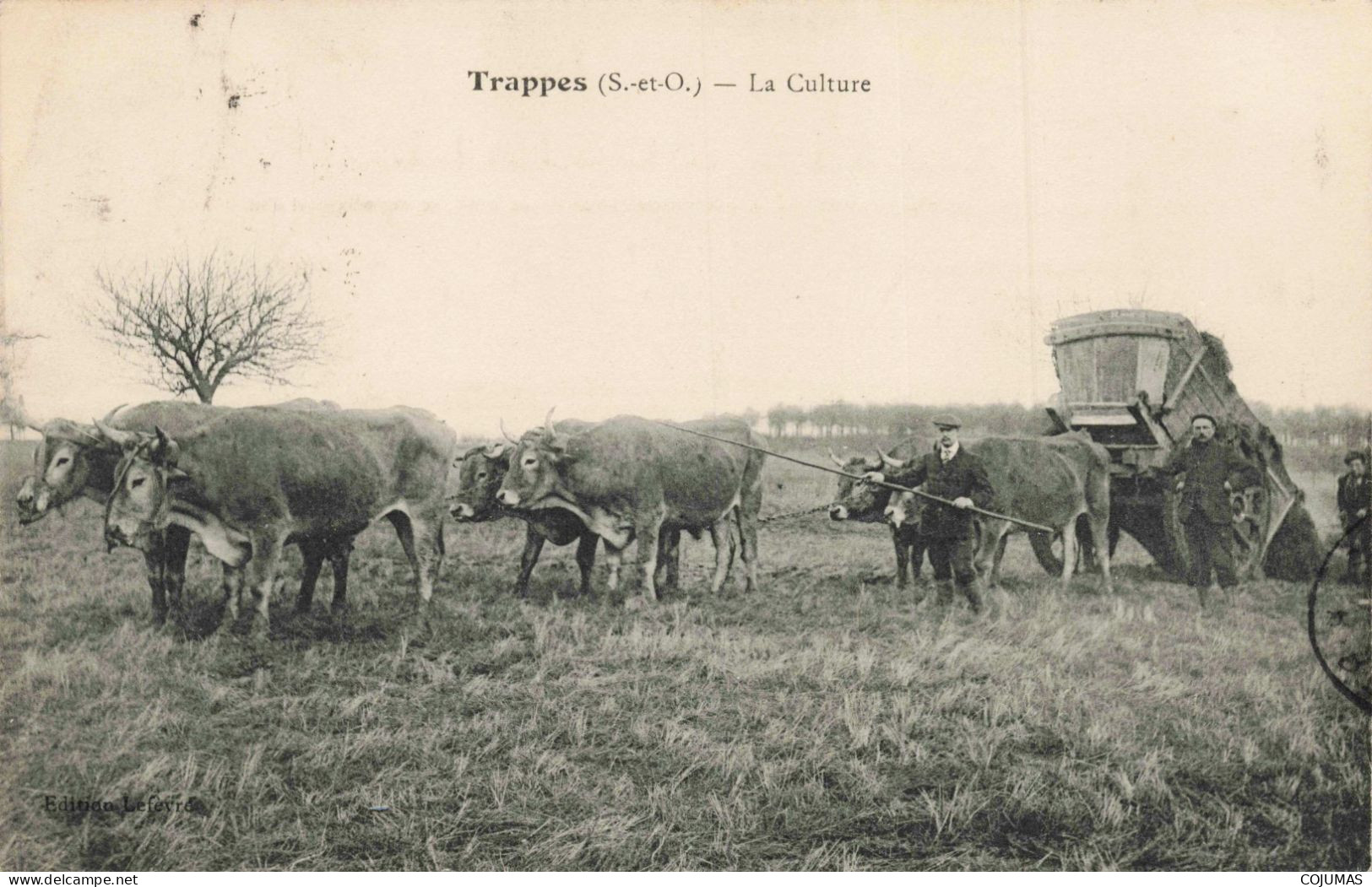 78 - TRAPPES _S24125_ La Culture - Agriculture - Trappes