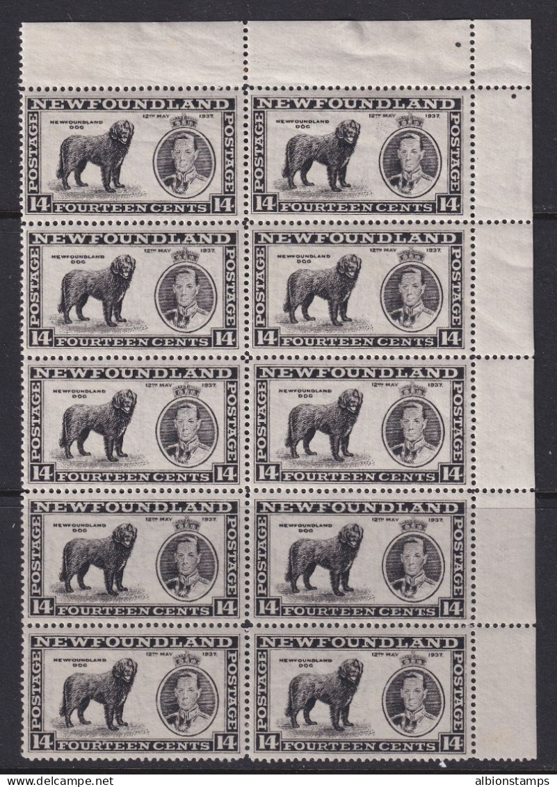 Newfoundland, Unitrade 238i, Vi, Vii, Viii, MNH (* Sel And Bott Pr) Block - 1908-1947