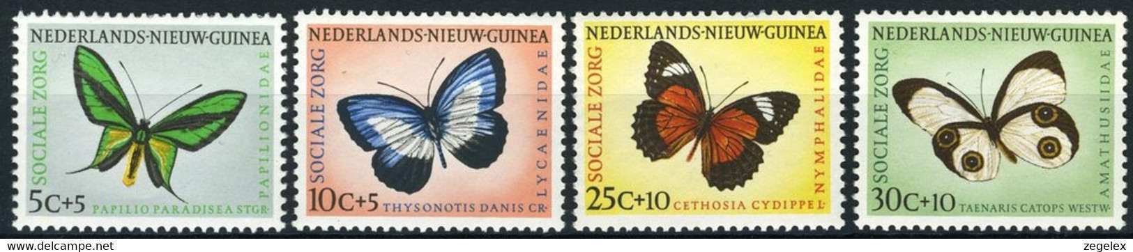 Nederlands Nieuw Guinea 1960, Butterflies, Vlinders, Papillon, Schmetterlinge NVPH 63-66 MNH**/postfris - Niederländisch-Neuguinea