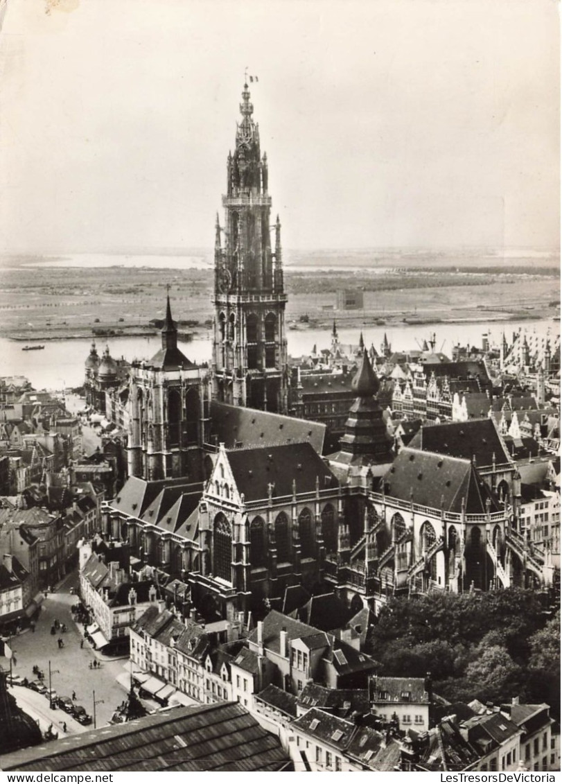 BELGIQUE - Antwerpen - Vue Générale Et Cathédrale - Carte Postale Ancienne - Antwerpen
