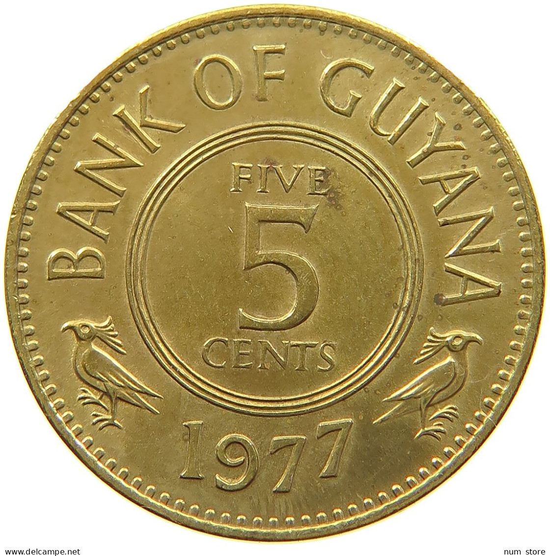 GUYANA 5 CENTS 1977 #a021 0219 - Guyana