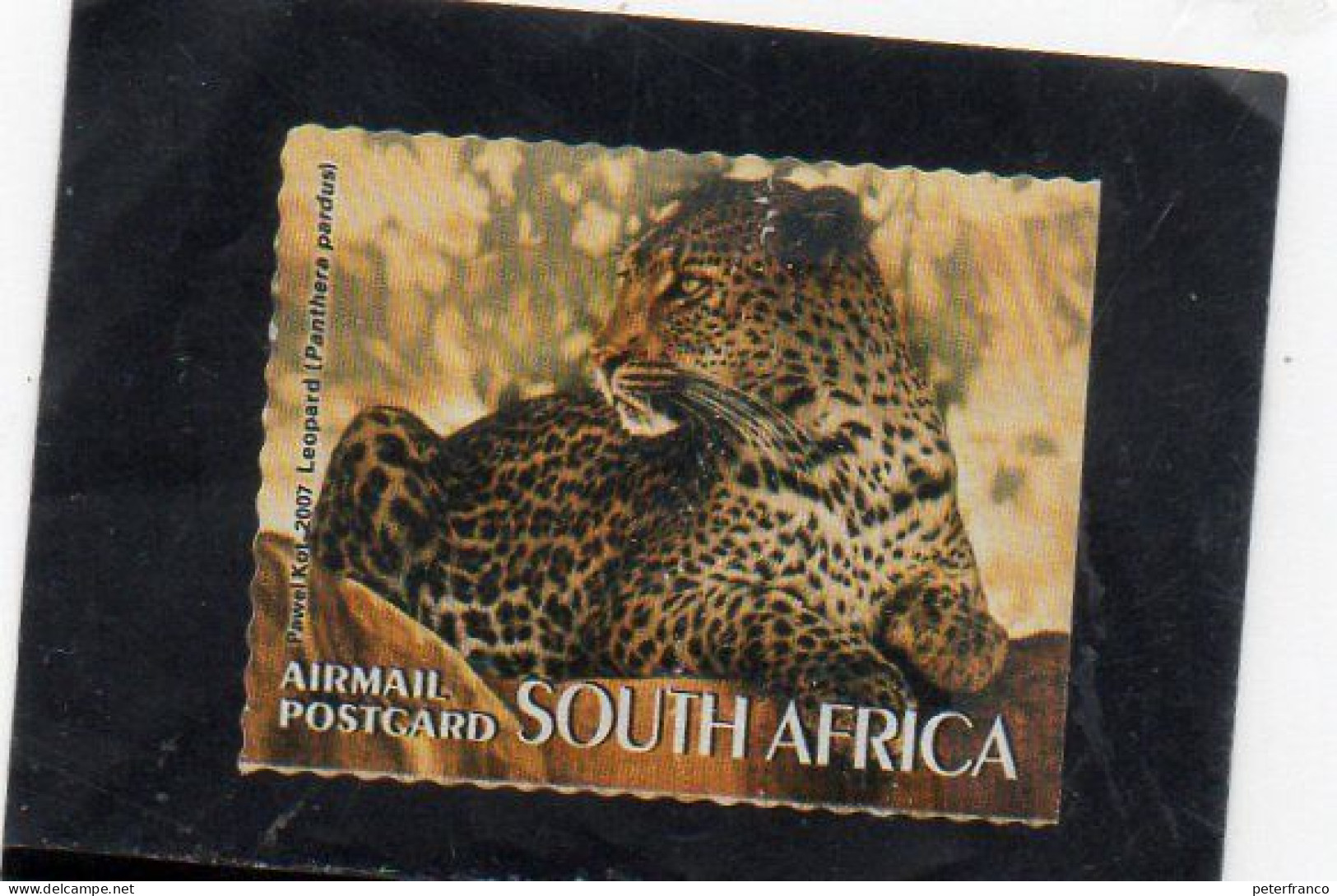 2007 Sud Africa - Leopardo - Gebruikt