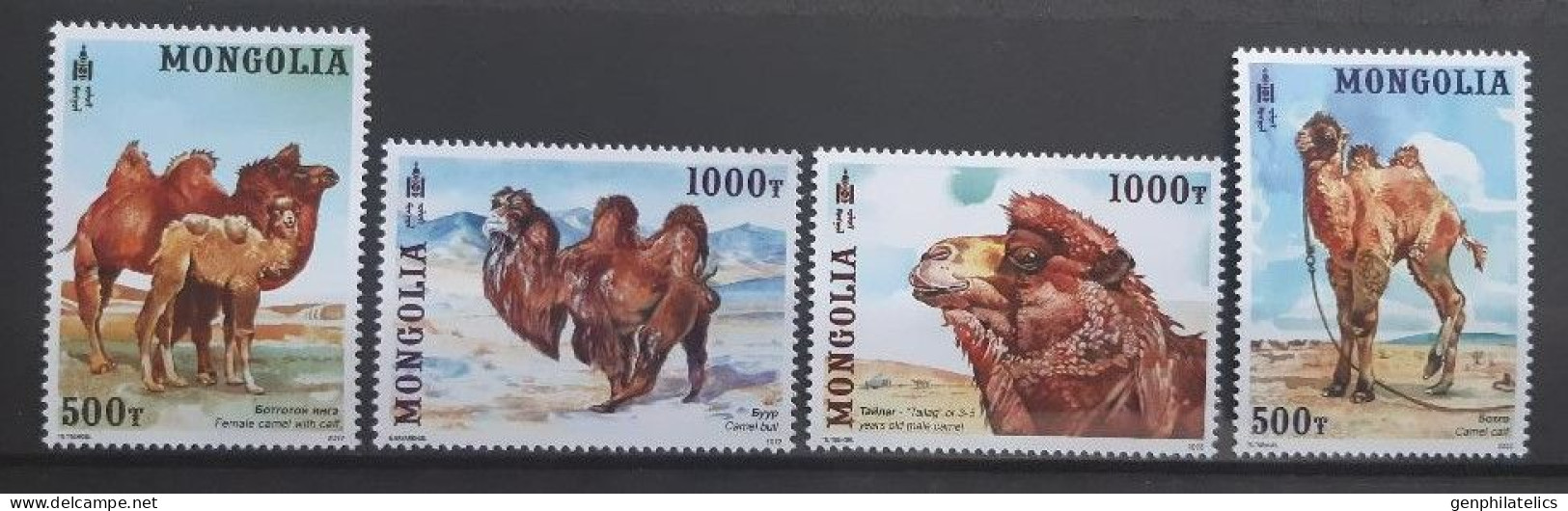 MONGOLIA 2022 FAUNA Animals CAMELS - Fine Set MNH - Mongolie