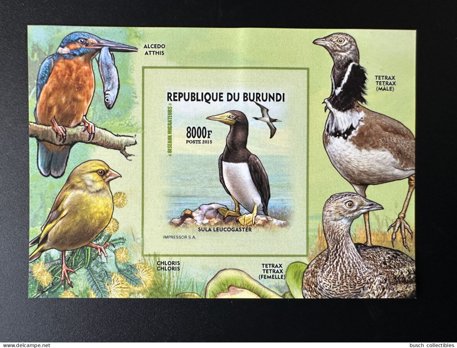 Burundi 2015 / 2016 Mi. Bl. A566 B ND IMPERF Oiseaux Migrateurs Birds Vogel - Nuevos