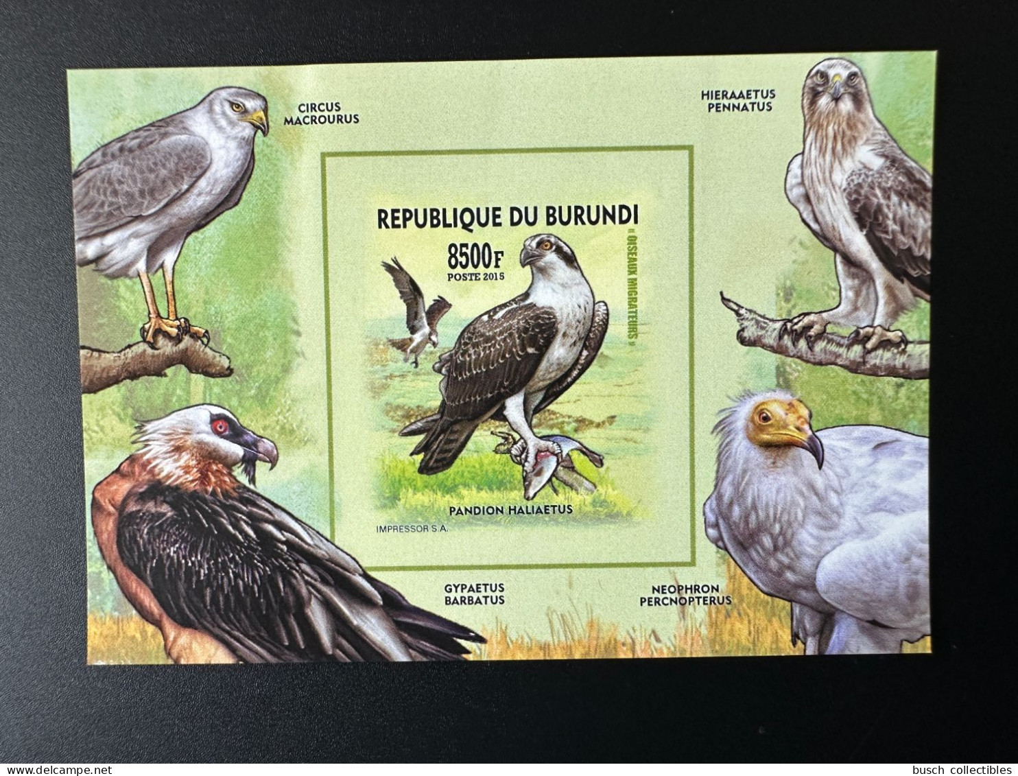 Burundi 2015 / 2016 Mi. Bl. B566 B ND IMPERF Oiseaux Migrateurs Birds Vogel Rapaces Birds Of Prey Greifvögel - Águilas & Aves De Presa