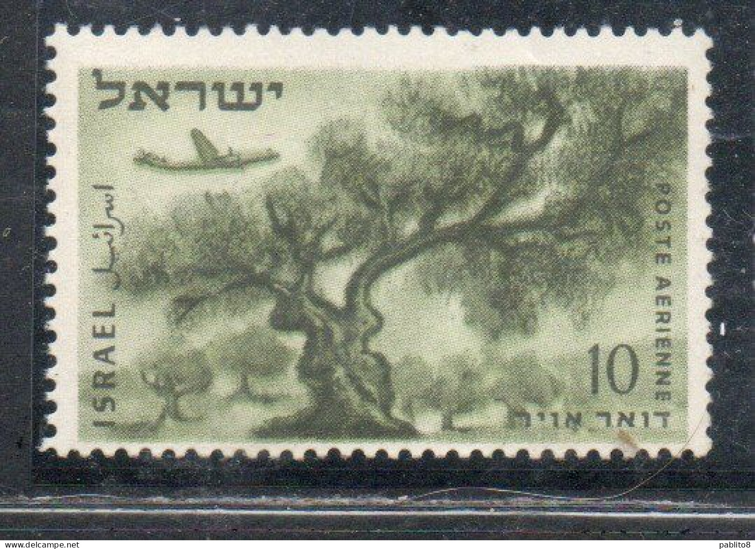 ISRAEL ISRAELE 1953 1956 AIRMAIL AIR POST MAIL  OLIVE TREE 10p MNH - Airmail