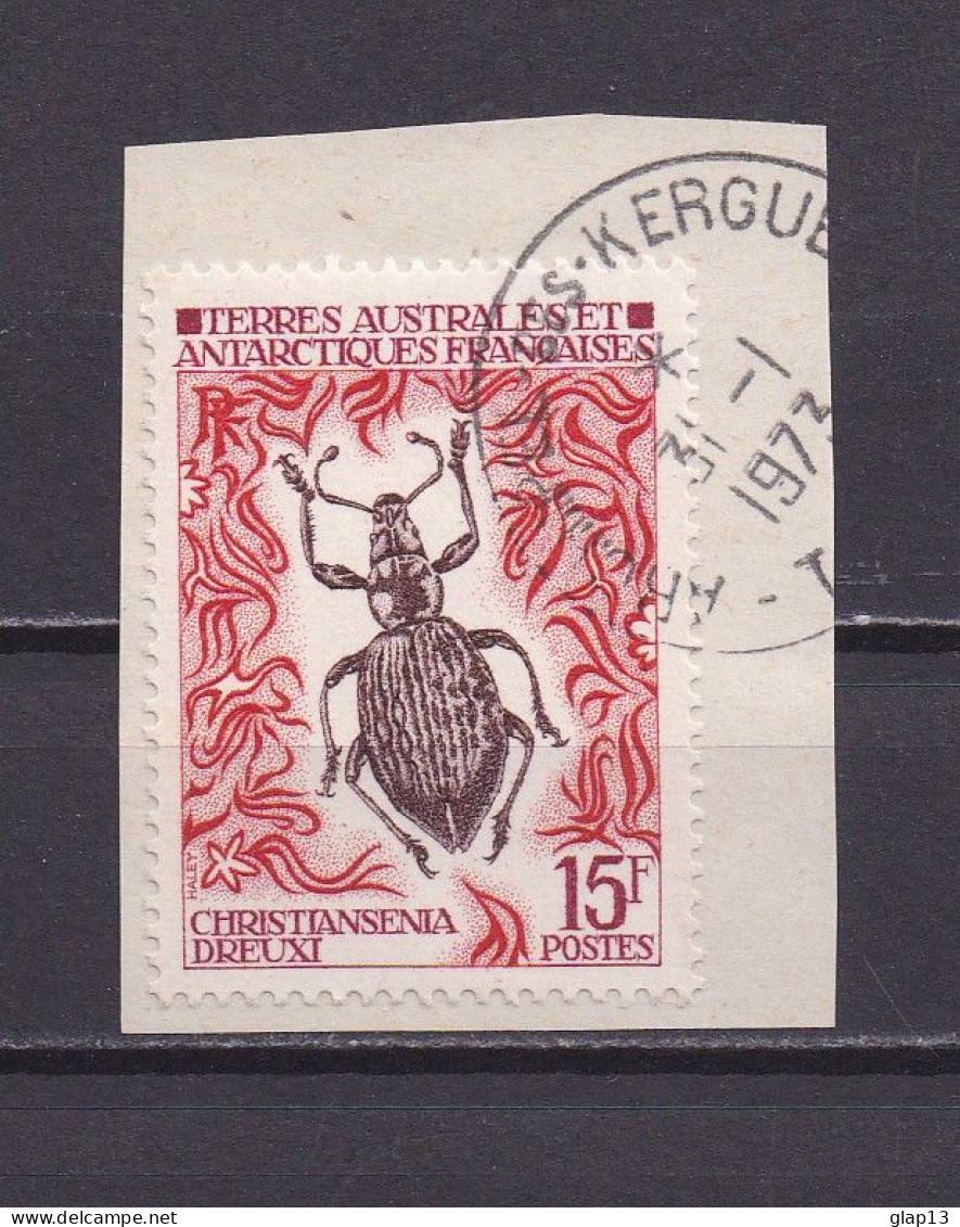 TAAF 1973 TIMBRE N°49 OBLITERE INSECTE - Oblitérés