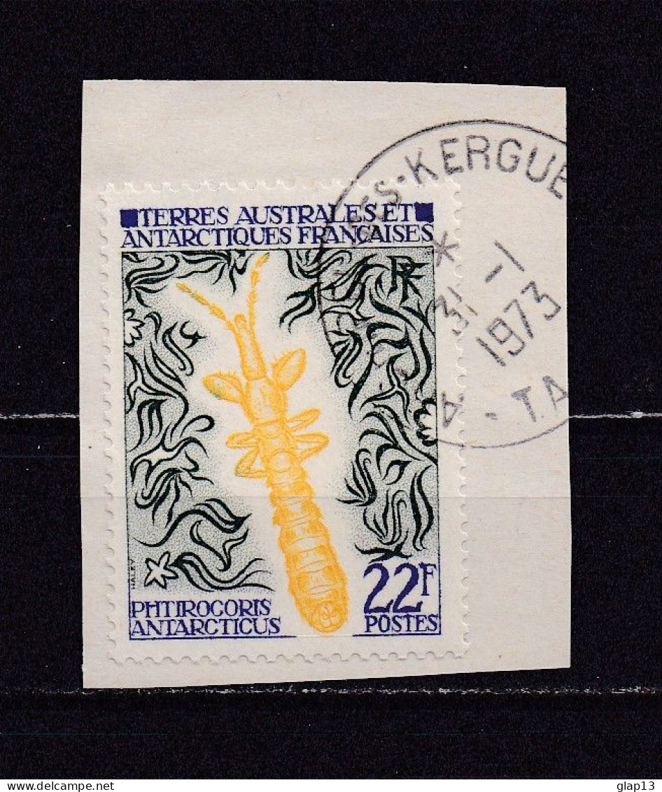 TAAF 1973 TIMBRE N°50 OBLITERE INSECTE - Used Stamps
