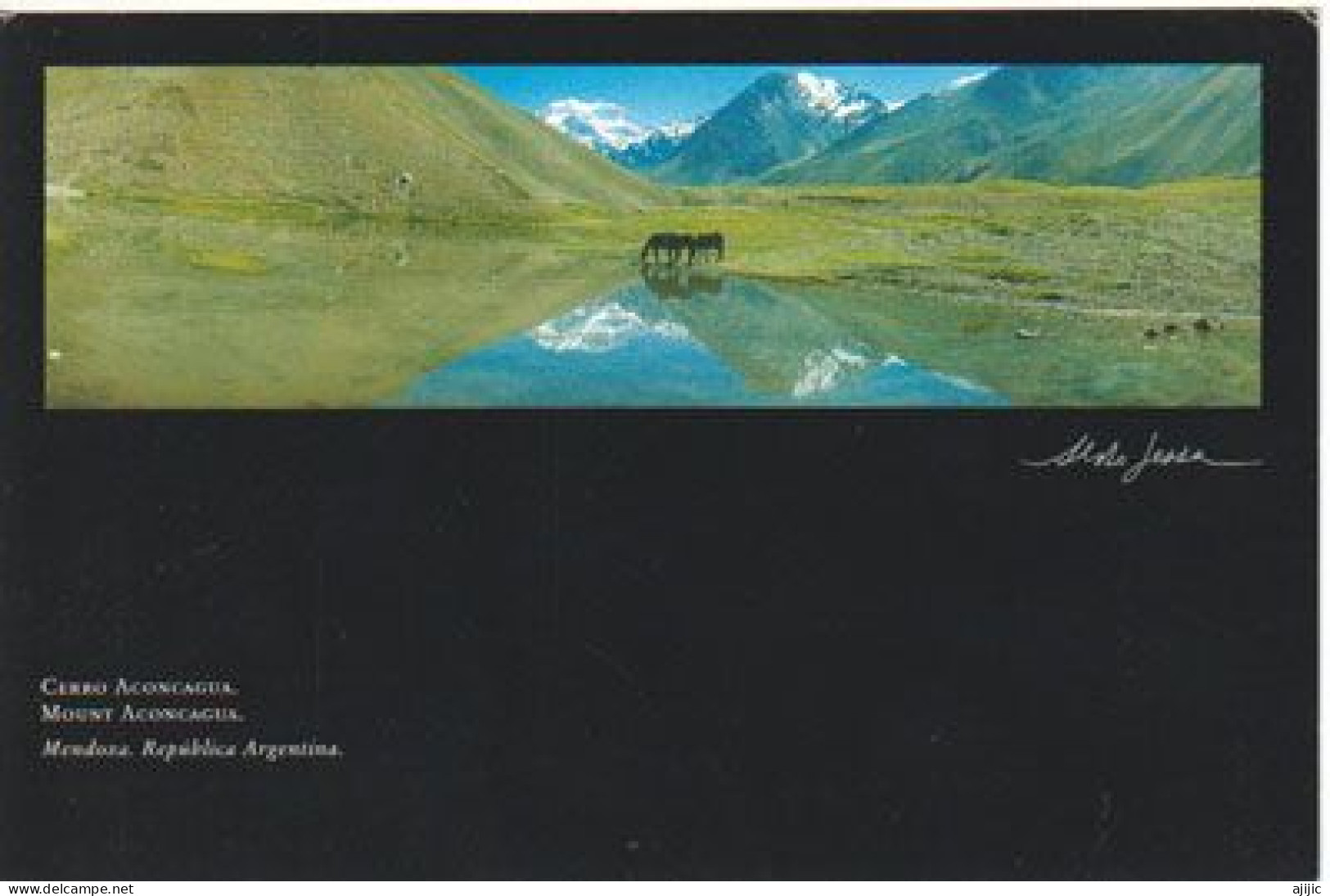 LUFTHANSA.AIRBUS A 340-600. Inaugural Flight Buenos-Aires To Santiago De Chile (Mt Aconcagua) 6962 M - Cartas & Documentos