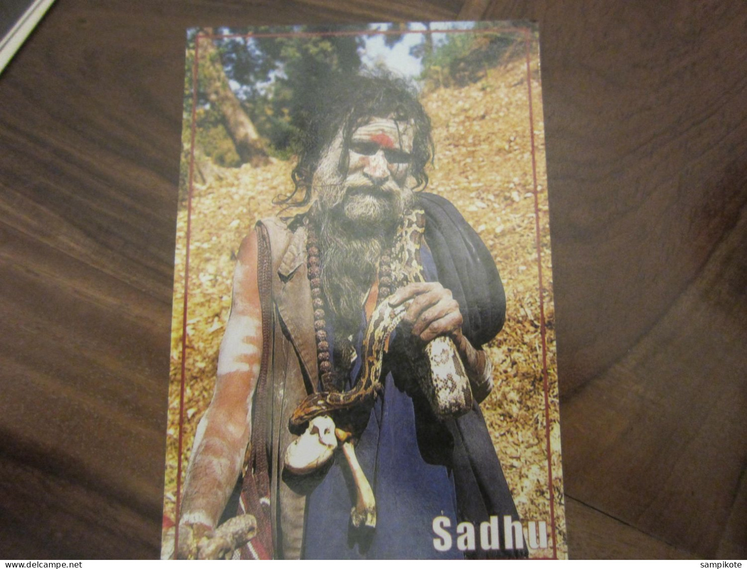 Carte Postale Népal, Un Sadhu - Népal