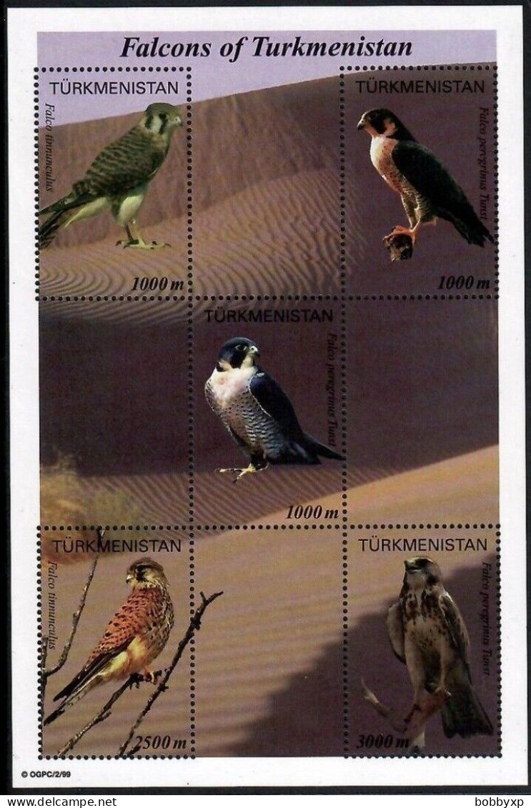 Turkmenistan 2000. Birds. Fauna. Falcons Of Turkmenistan. Souvenir Sheet. MNH - Turkmenistán