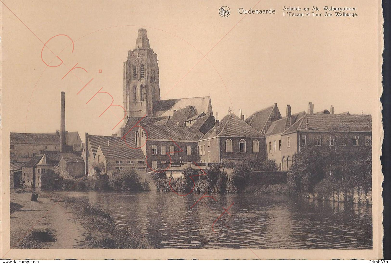 Oudenaarde - Schelde En Ste Walburgatoren - Postkaart - Oudenaarde