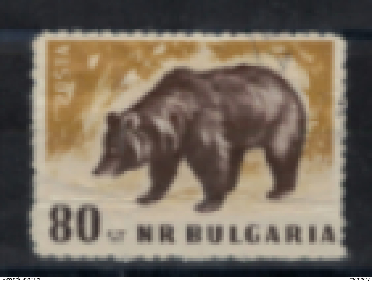 Bulgarie - "Gibiers Divers : Ours" - Oblitéré N° 925 De 1958 - Oblitérés
