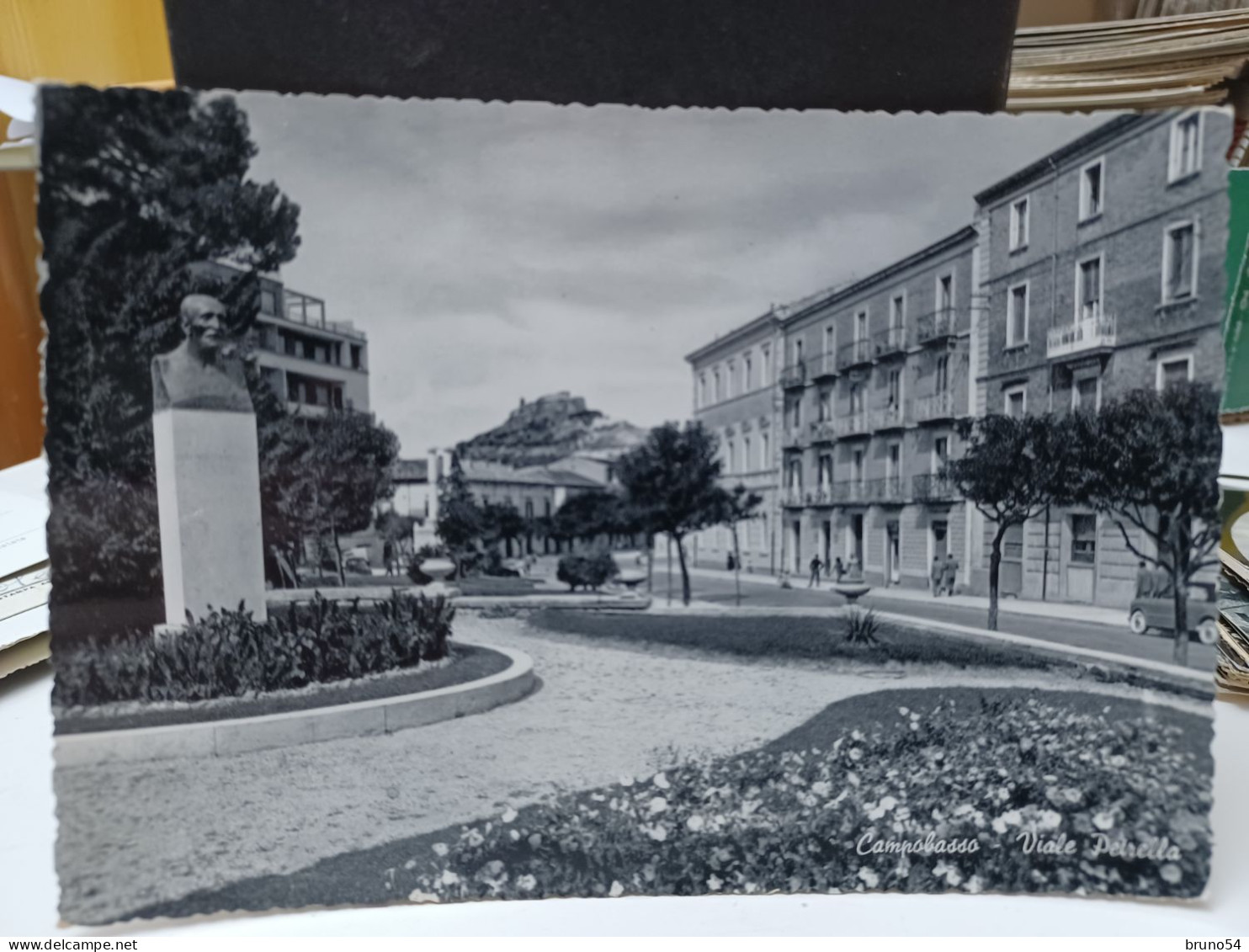 Cartolina Campobasso Viale Petrella Anni 60 - Campobasso