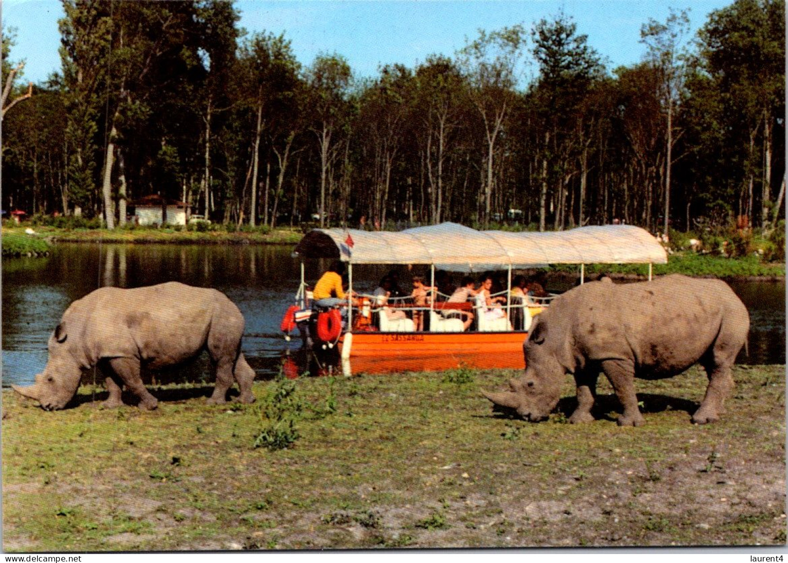 1-11-2023 (1 V 2) France - Zoo De Saint Sevrain (safari Bateau) Rhinoceros - Rhinocéros