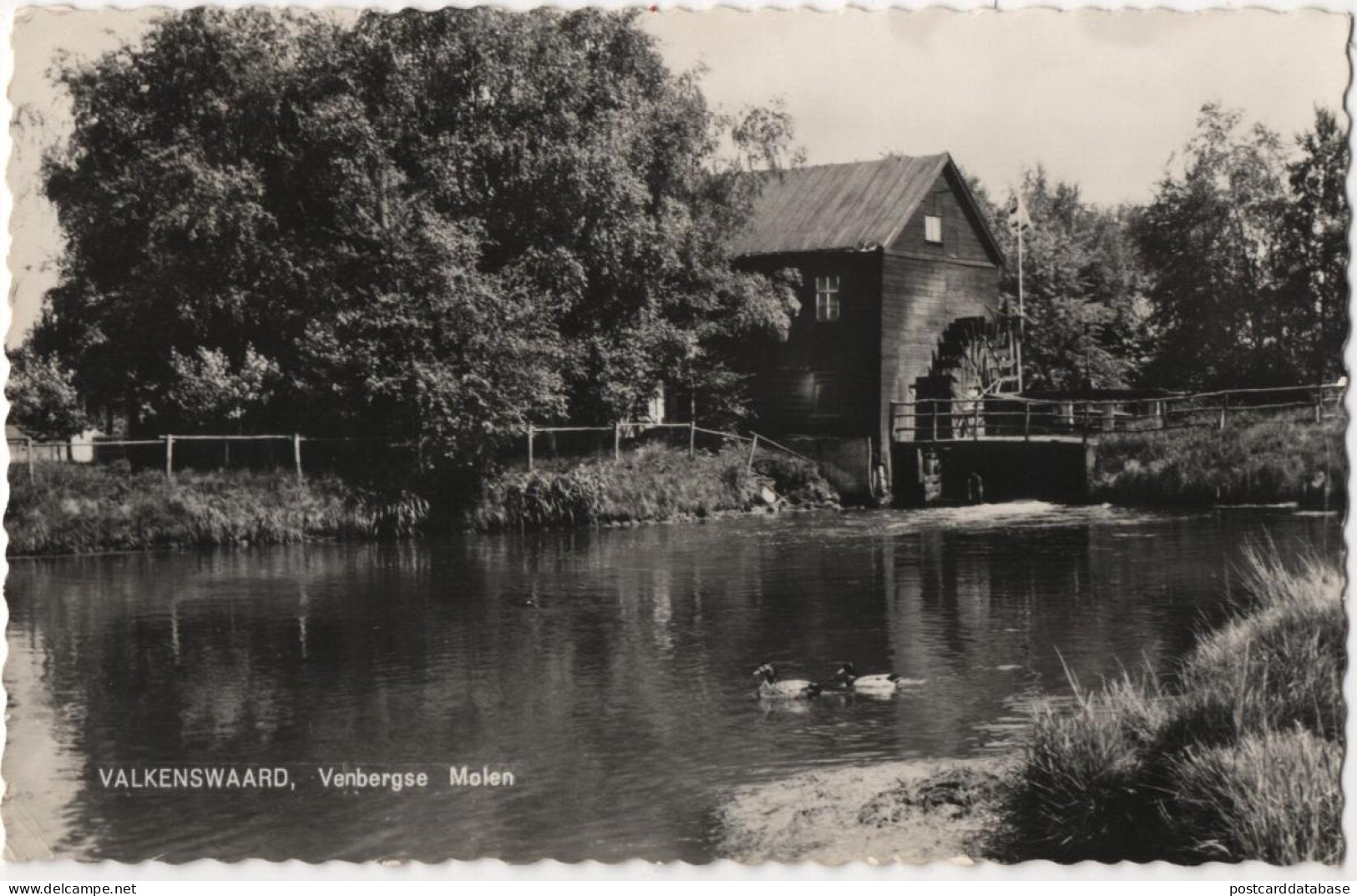 Valkenswaard - Venbergse Molen - & Water Mill - Valkenswaard