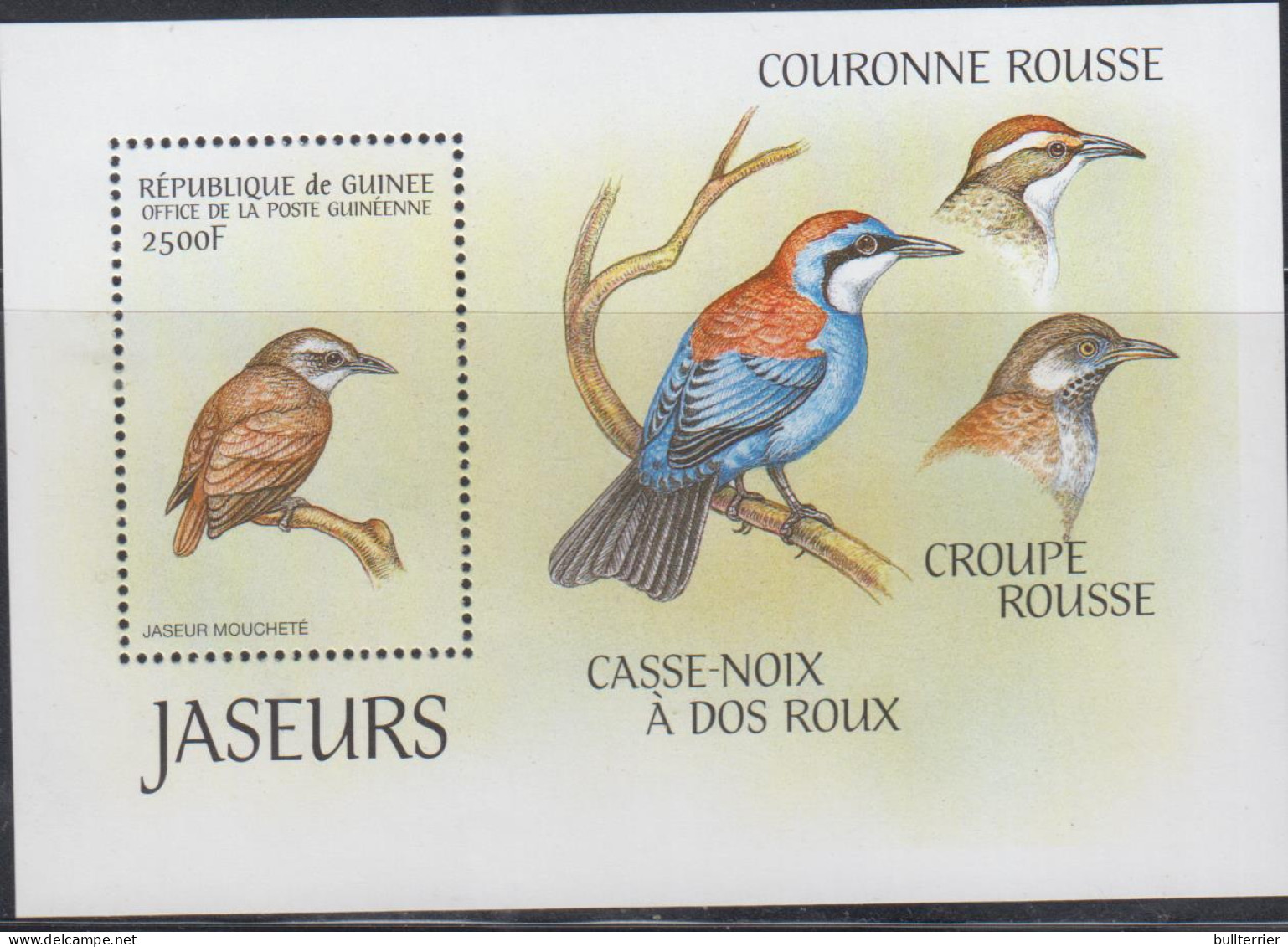 BIRDS - GUINEE REP -  JASEUR MOUCHETTE  SOUVENIR MINT NEVER HINGED - Kolibries