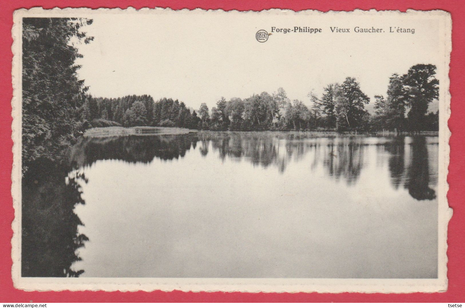 Forge-Philippe -  Etang Du Vieux Gaucher ( Voir Verso ) - Momignies