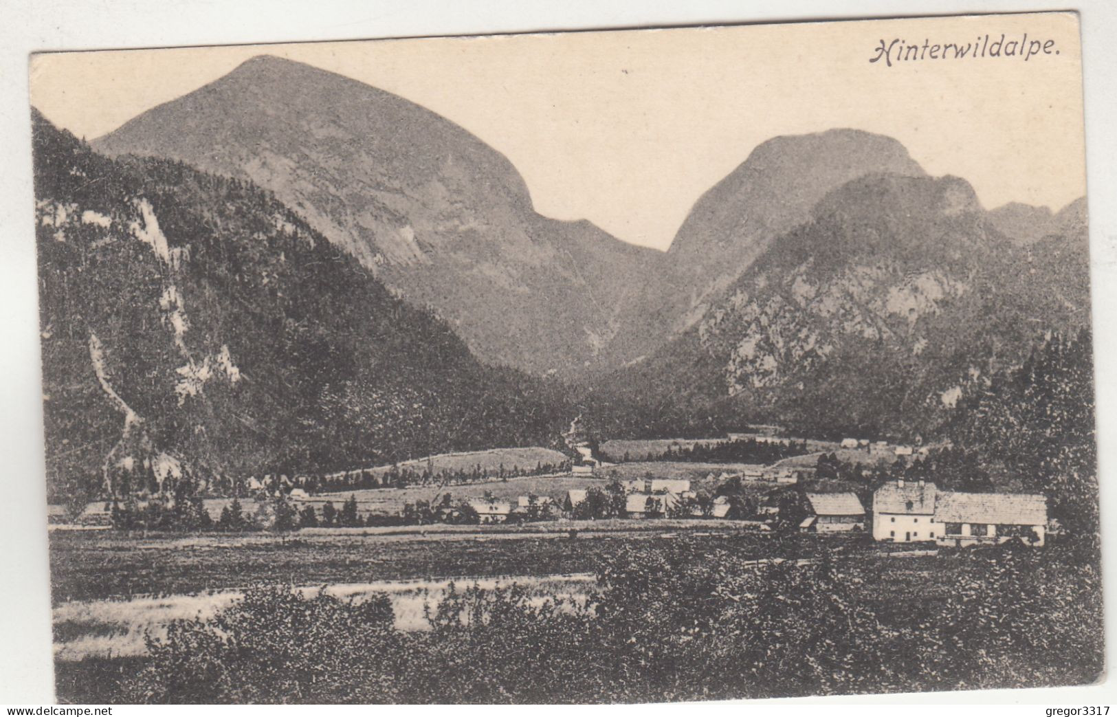 D7078) WILDALPEN - HINTERWILDALPE - Häuser U. Berge ALT 1919 - Wildalpen