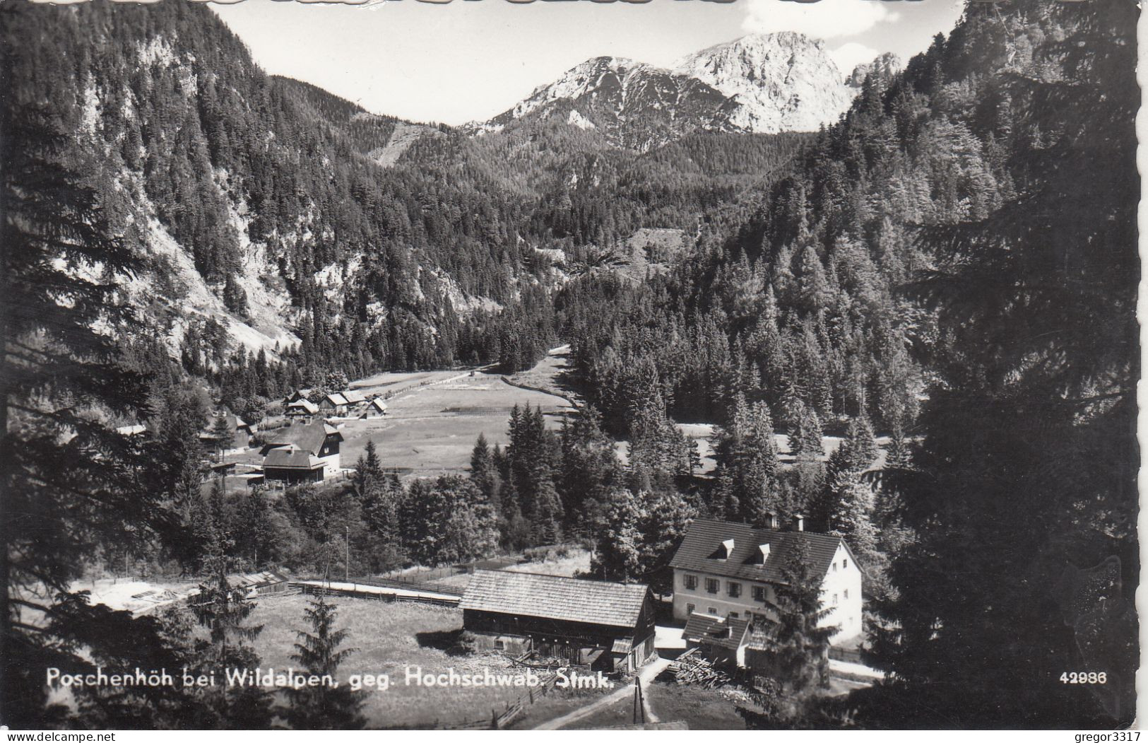 D7083) POSCHENHÖHE Bei WILDALPEN Geg. Hochschwab - Steiermark - S/W FOTO AK - Wildalpen