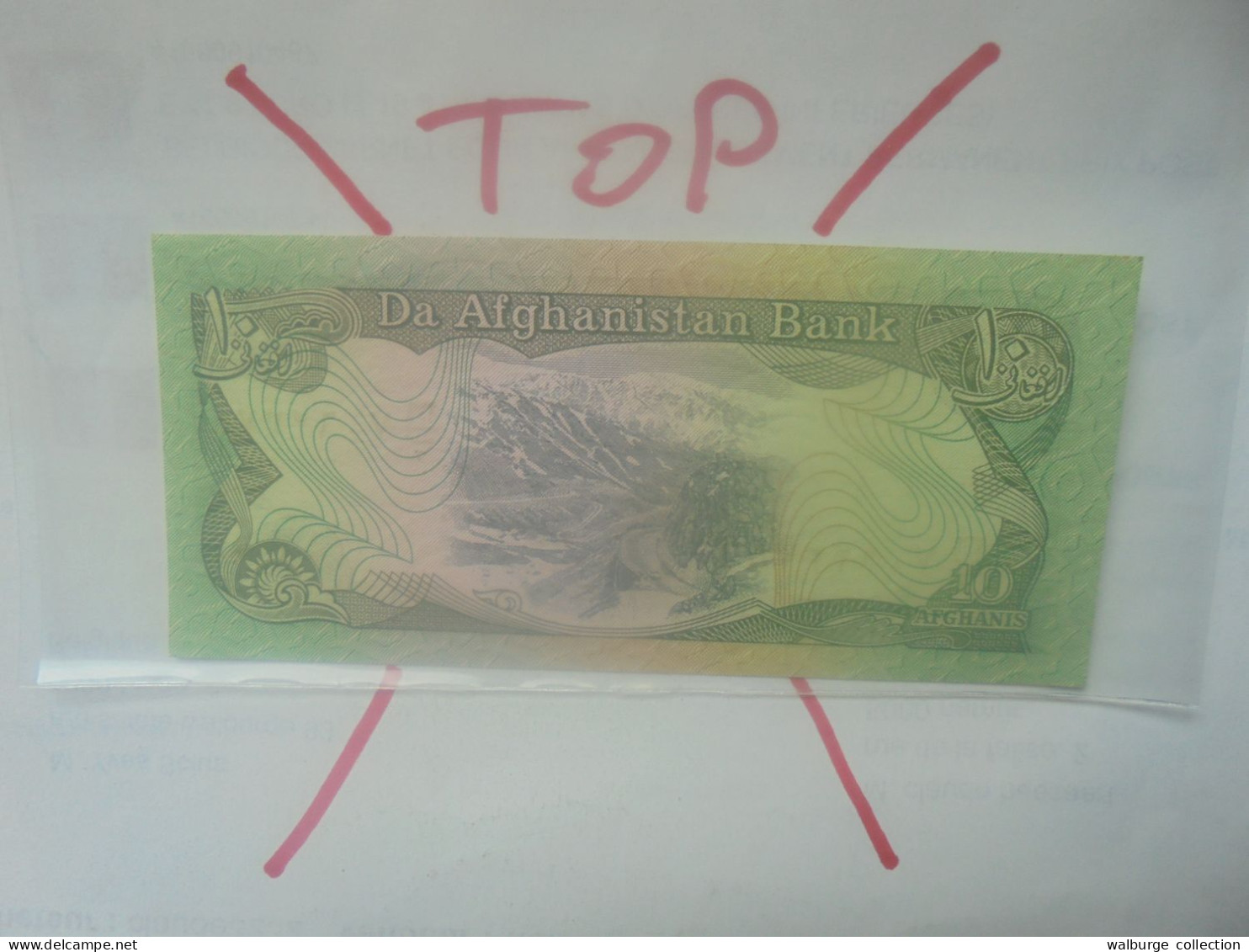 AFGHANISTAN 10 Afghanis 1979 Neuf (B.31) - Afghanistan