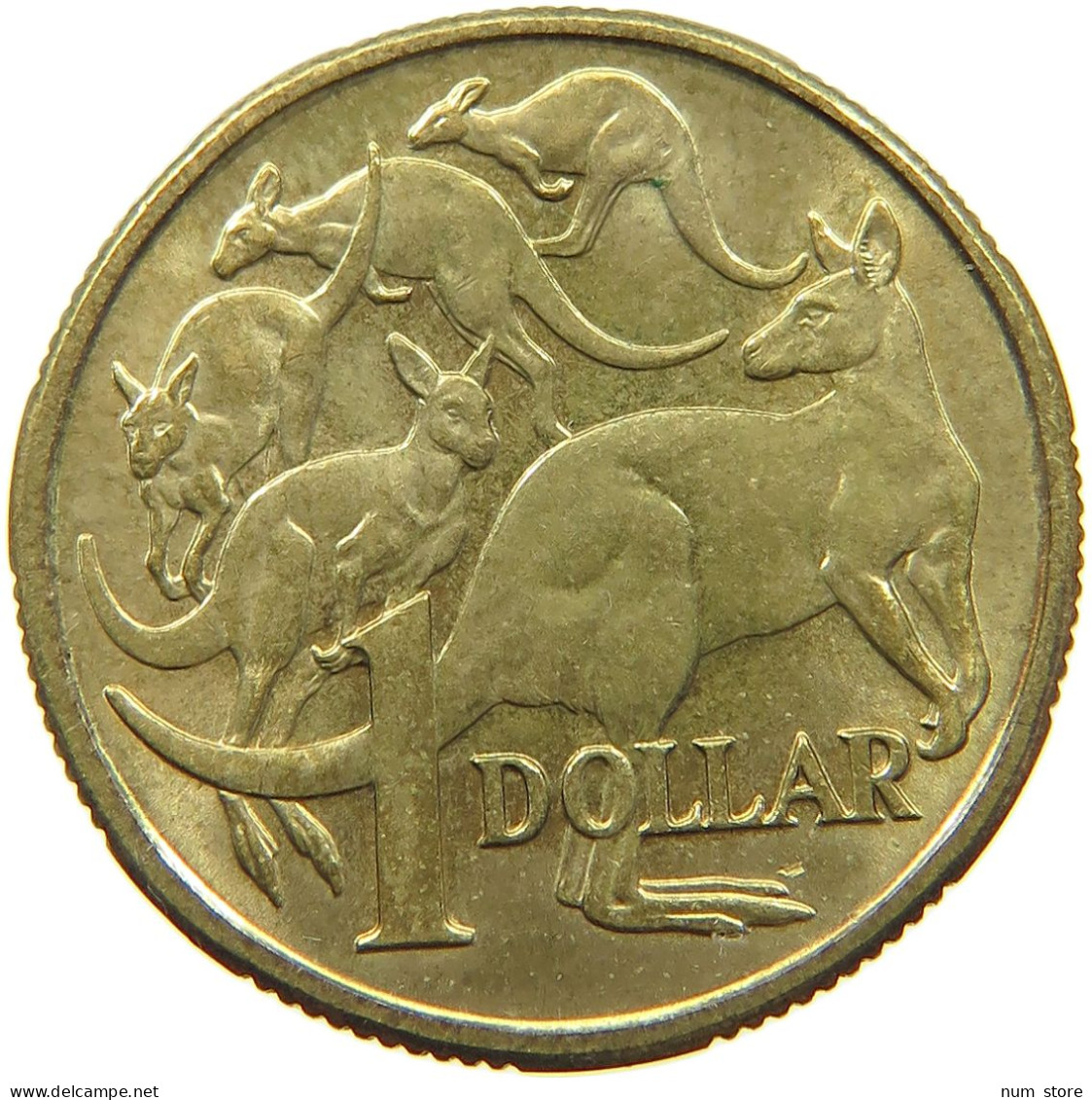 AUSTRALIA 1 DOLLAR 1984 #a019 0767 - Dollar