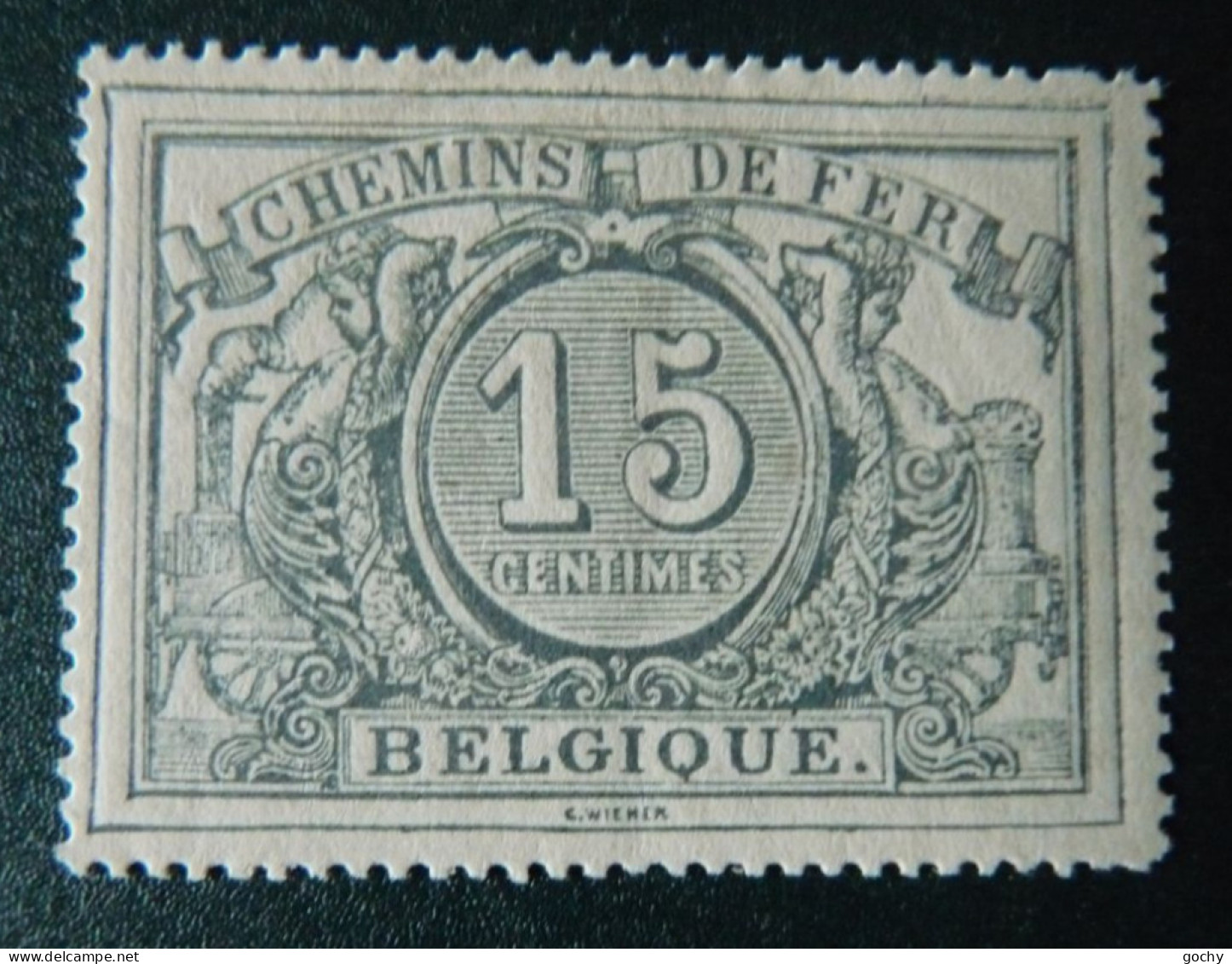 BELGIUM :   1894  - CHEMINS DE FER - CF  8  * -  COTE : 20,00€  D15 1/2-14 1/2 - Neufs