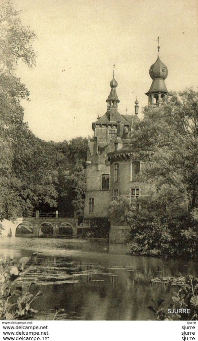 Ooidonk / Deinze - Kasteel Zijkant - Château Oydonck * - Deinze