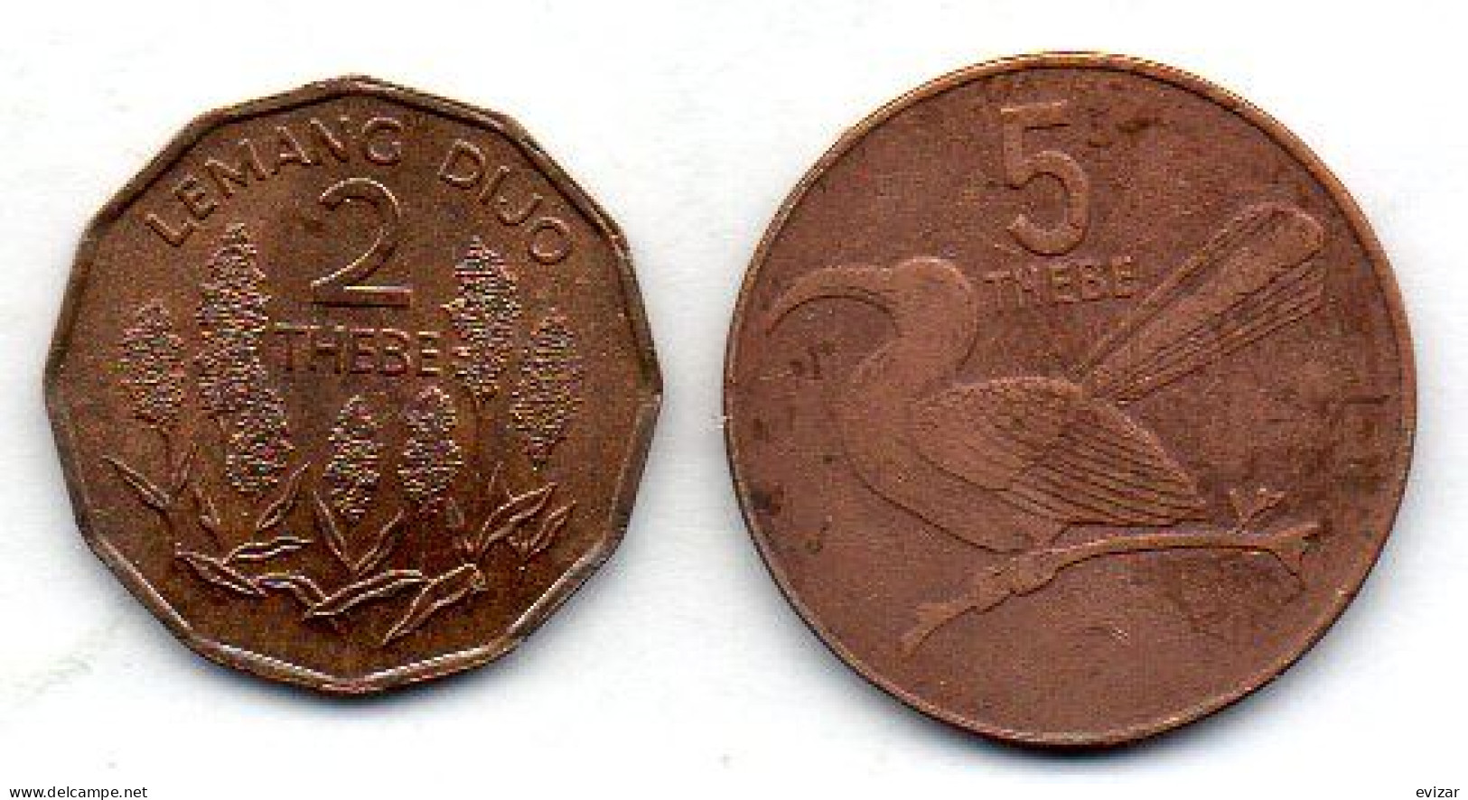 BOTSWANA, Set Of Two Coins 2, 5 Thebe, Bronze, Year 1981, 1991, KM # 14, 4a.1 - Botswana
