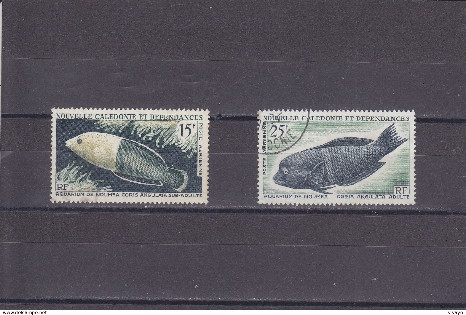 NOUVELLE CALEDONIE - O / FINE CANCELLED - 1965 - NOUMEA AQUARIUM - Yv. PA 82/83 -  Mi. 416/7 - Used Stamps