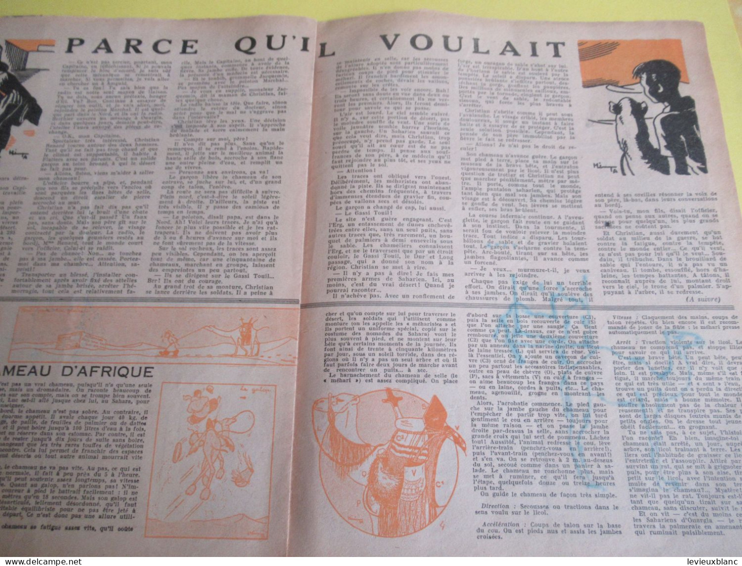 SCOUT De France/LOUVETEAU/Revue Bimensuelle/ N° 1- 2-3- 4- 5-7- 9-10- 11-12-13-14-19-20/1949-1950    VJ146 - Padvinderij