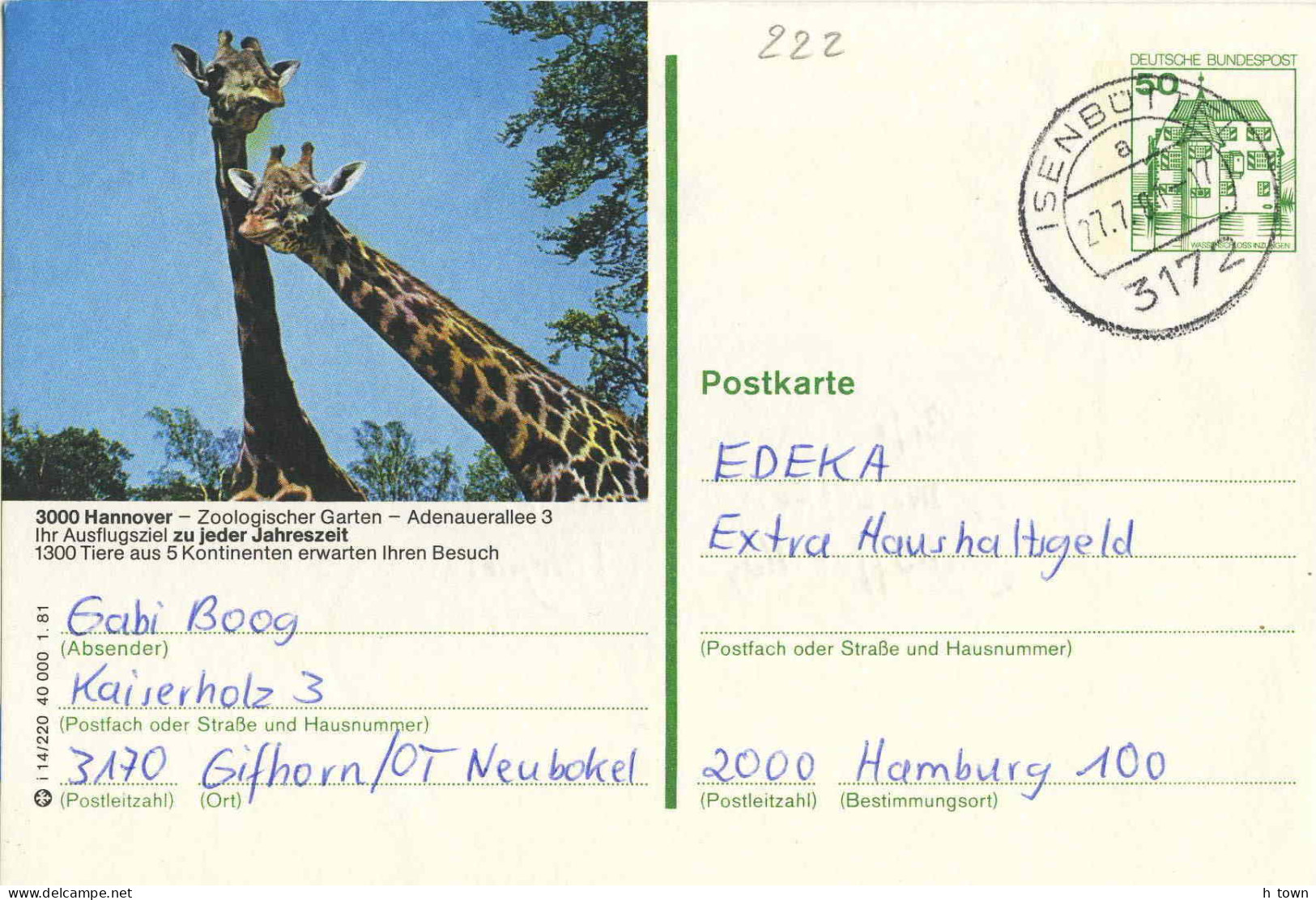 129  Girafe: Entier (c.p.) D'Allemagne, 1981 - Giraffe, Hannover Zoo: Stationery Postcard From Germany - Giraffe