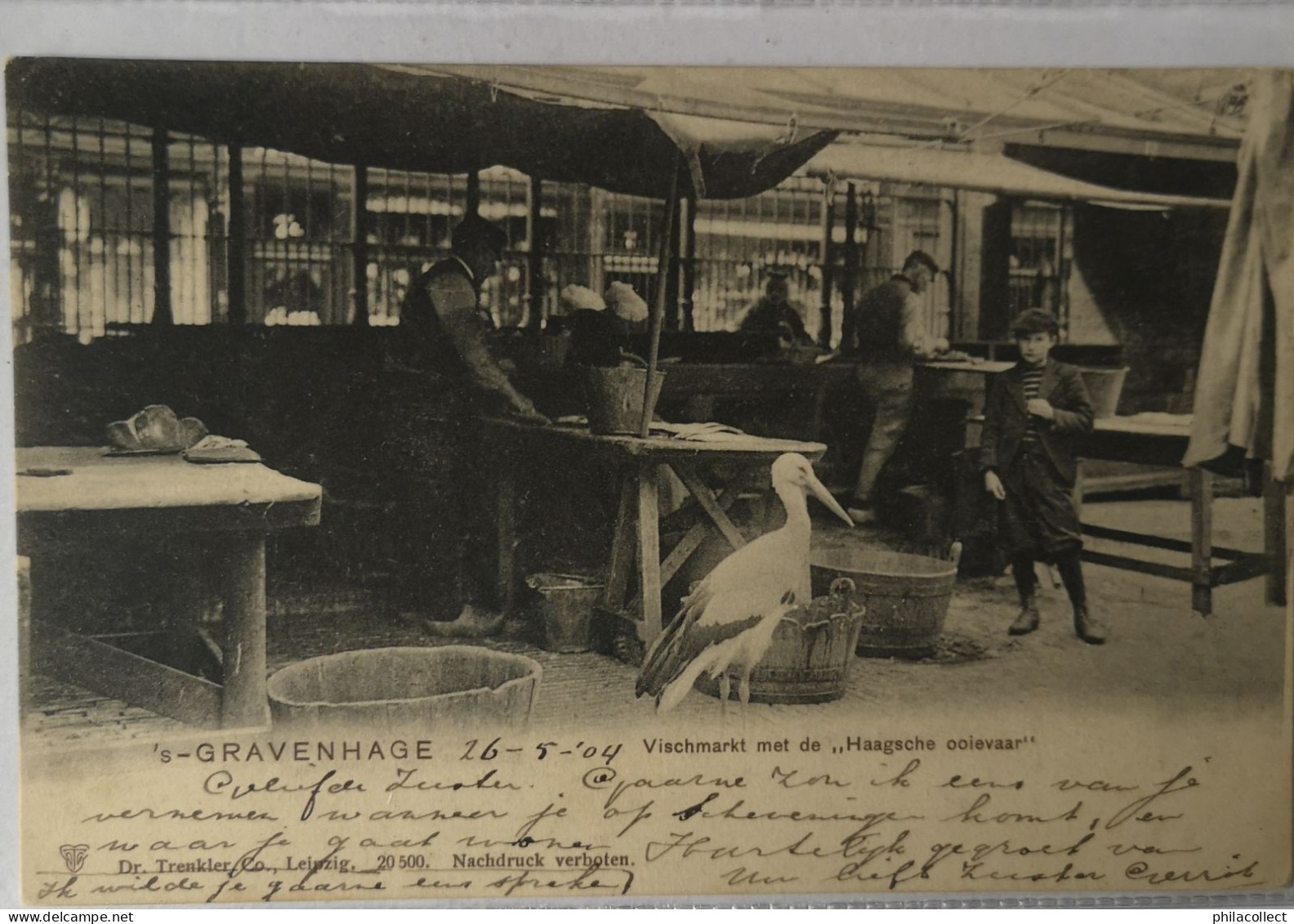 's Gravenhage (Den  Haag)  Vischmarkt Met De Haagsche Ooievaar 1904 - Den Haag ('s-Gravenhage)