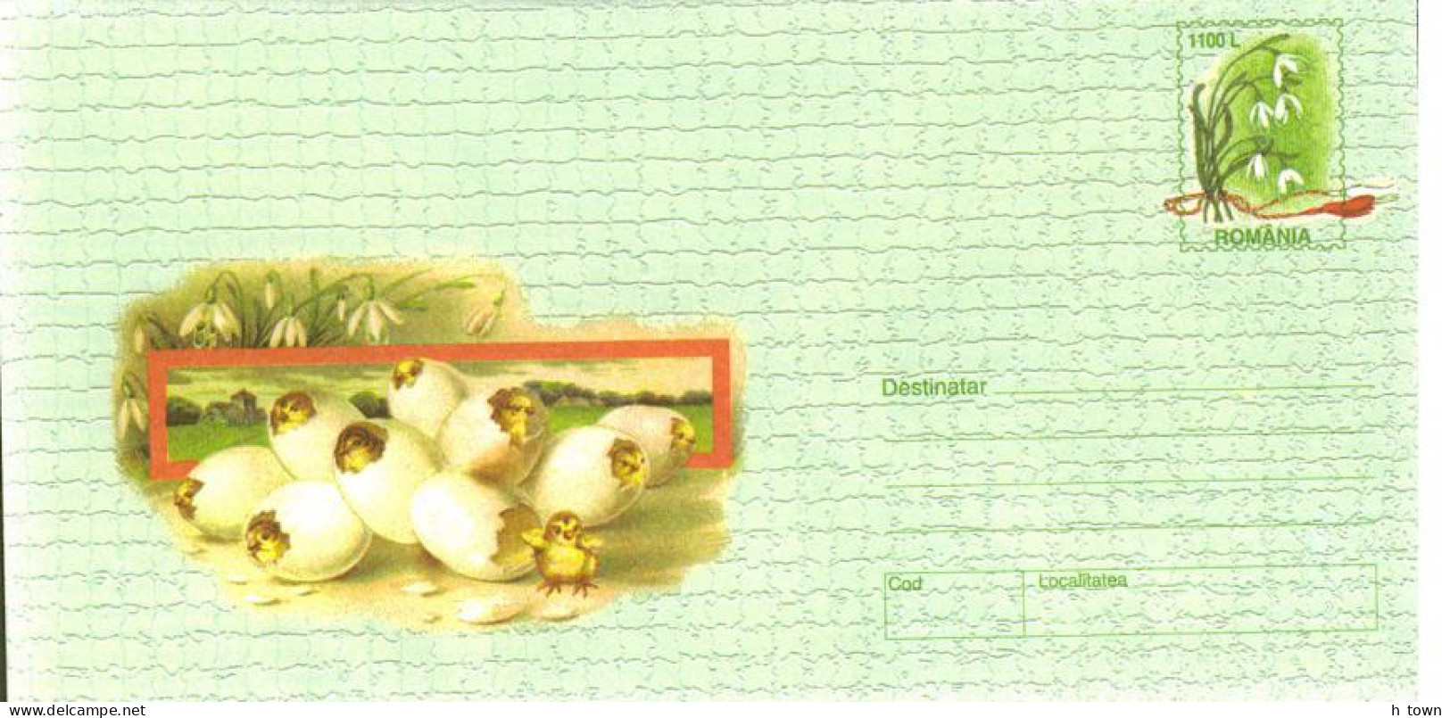 517  Pâques Poulettes Oeufs Perce-neige: PAP Roumanie, 1999 - Easter Stationery Cover: Chicken Eggs Snowdrops. Poussin - Easter