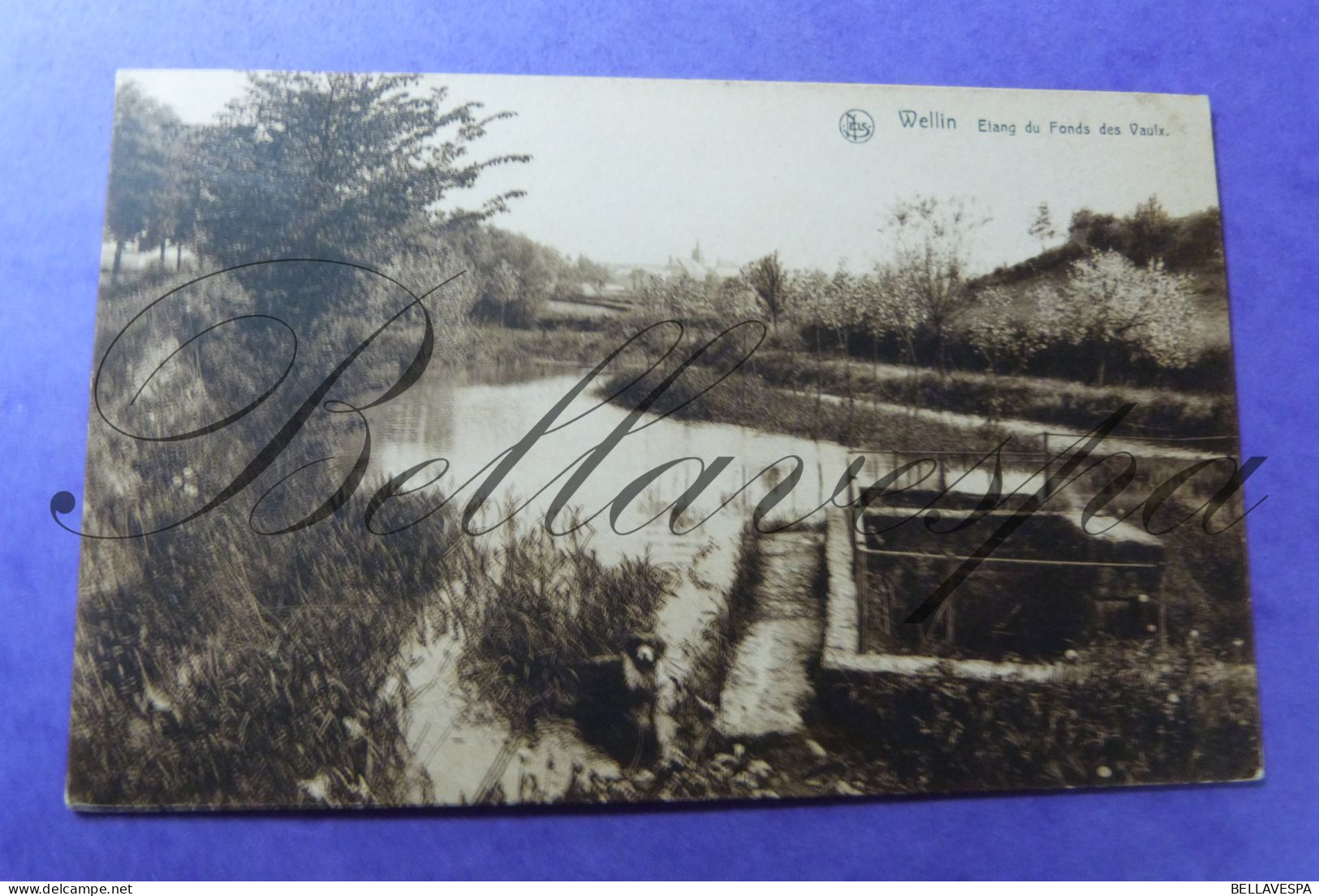 Wellin Etang Du Fonds Des Vaulx-Rue De La Station & La Lesse; Lot X 3 Carte Postale - Wellin