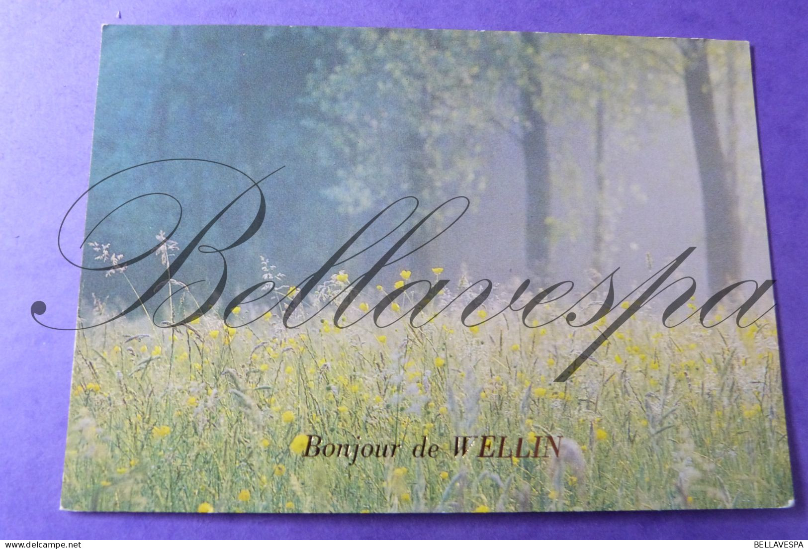 Wellin Sous-Bois-Bonjour- Coin Pittoresque, Lot X 3 Carte Postale - Wellin