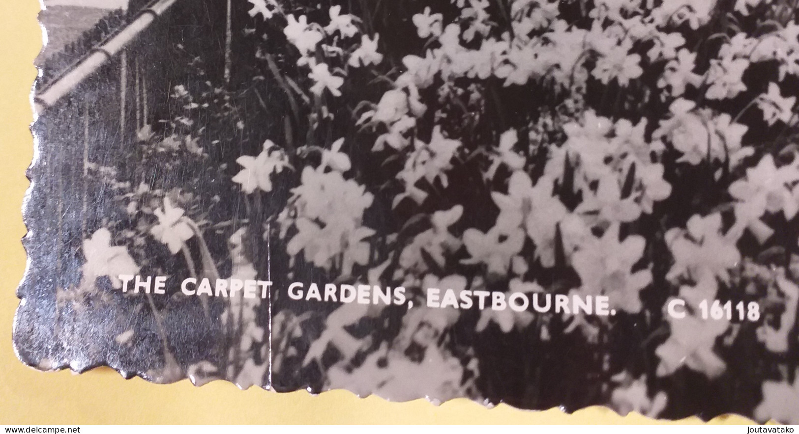The Carpet Gardens, Eastbourne - Posted 1962 Have You Taken Out Your Licence For Radio-TV Slogan - Eastbourne